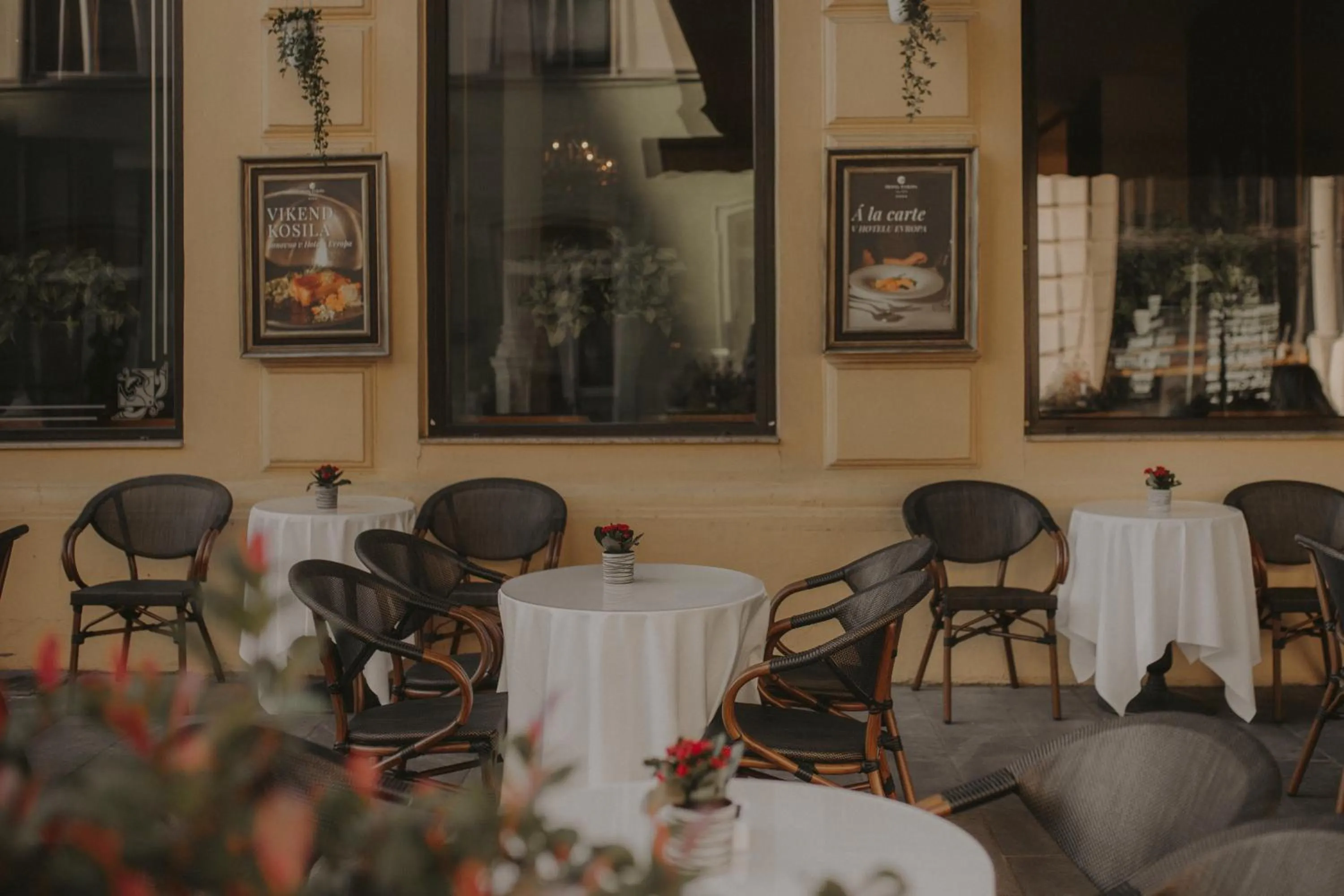 Restaurant/places to eat in Hotel Evropa