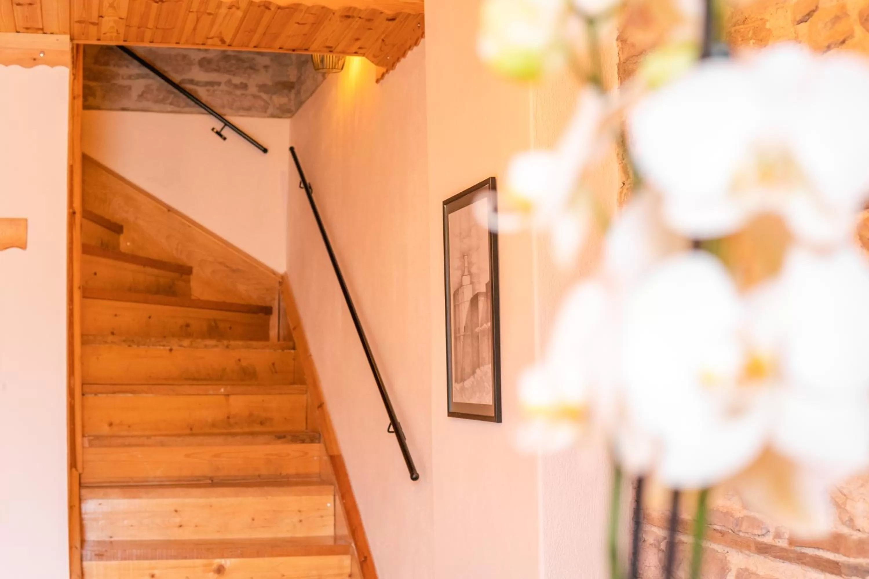 Facade/entrance in Porta7 Hotel