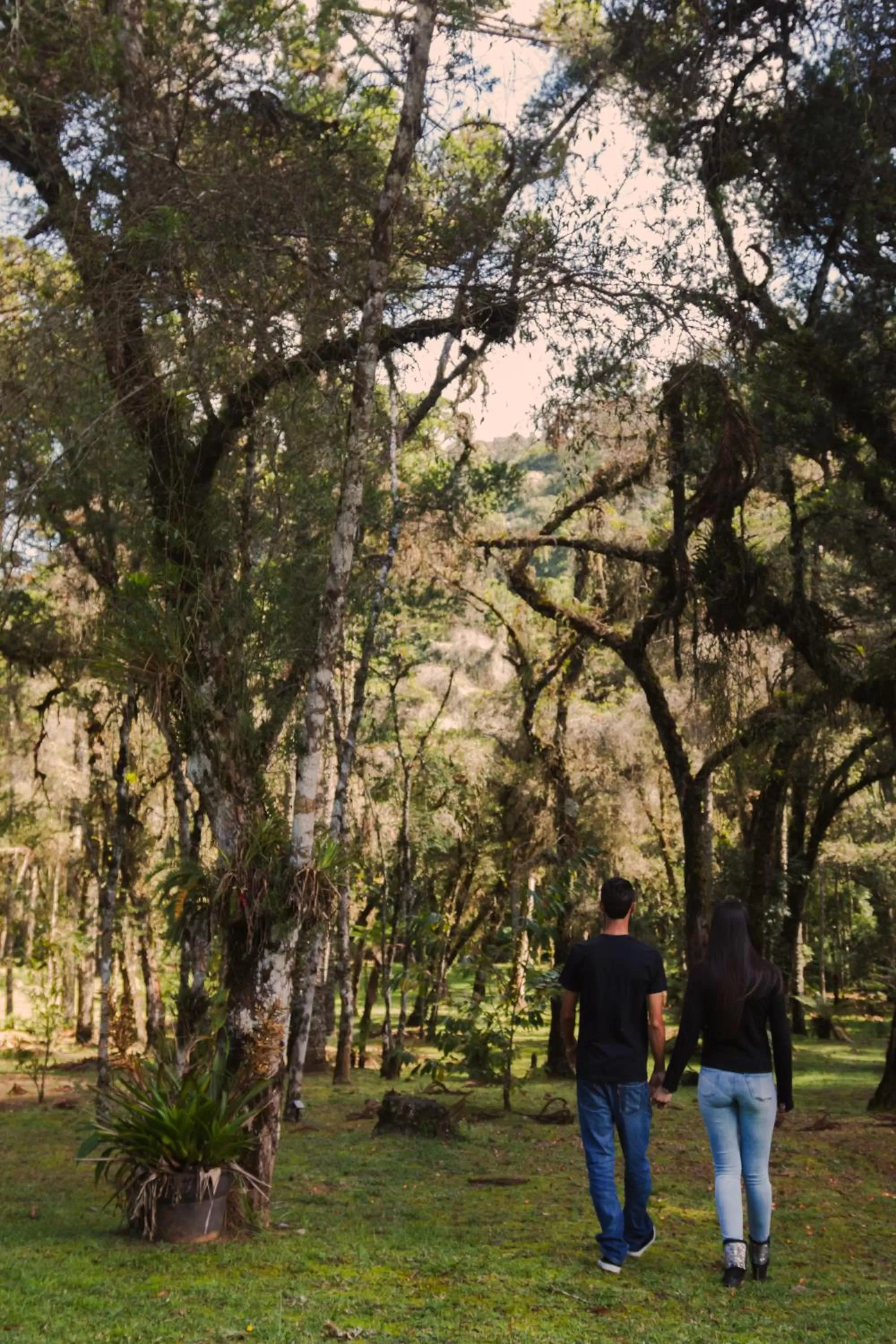 People in Green Village Hotel