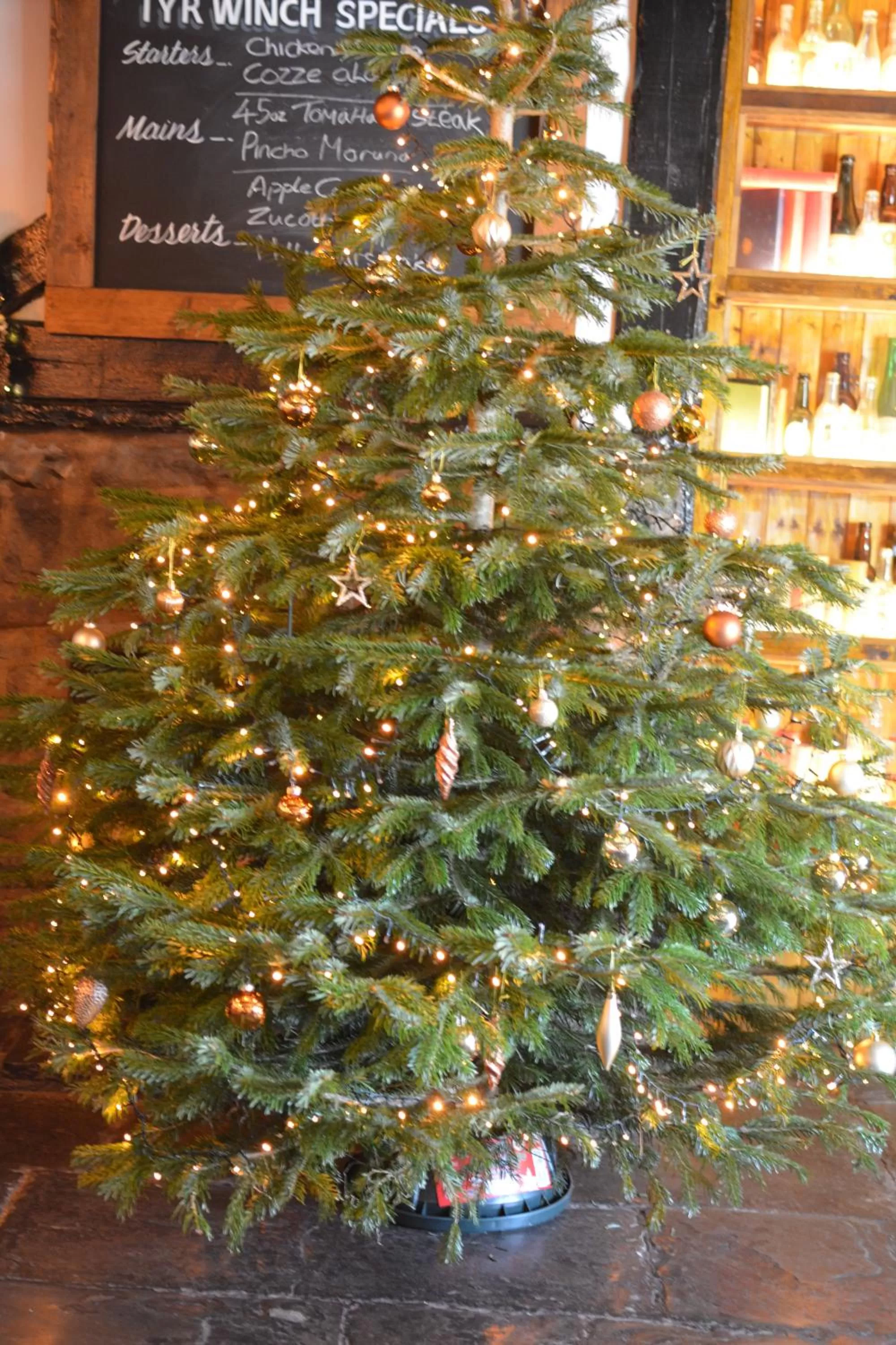 Restaurant/places to eat in Tyr Winch