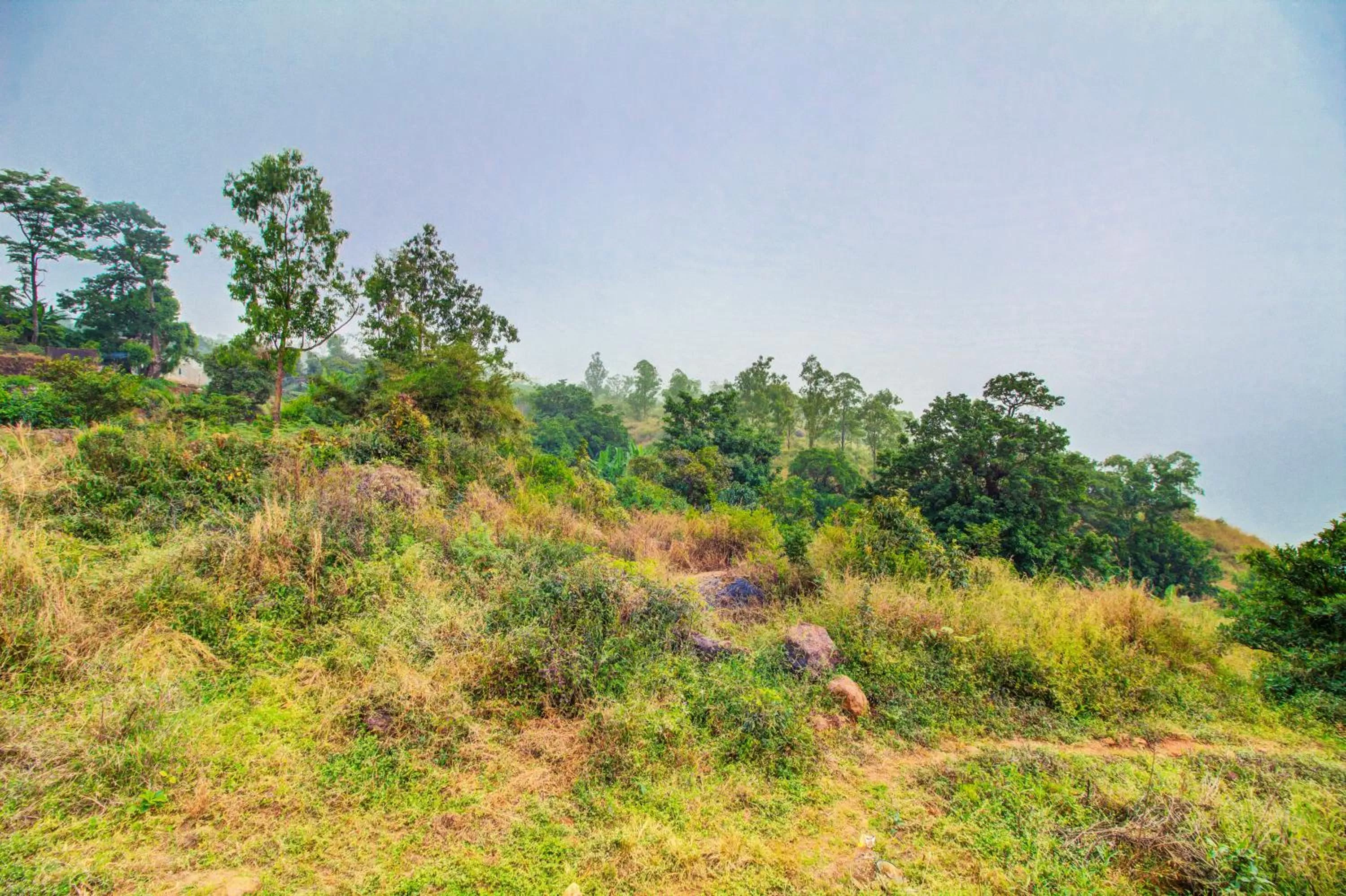 Natural landscape in Mountain Breeze Resort, Mahabaleshwar