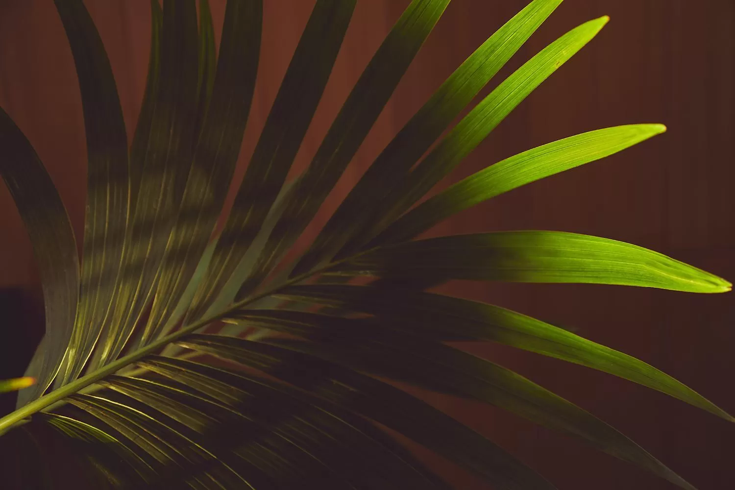 Lobby or reception in Nakar Hotel