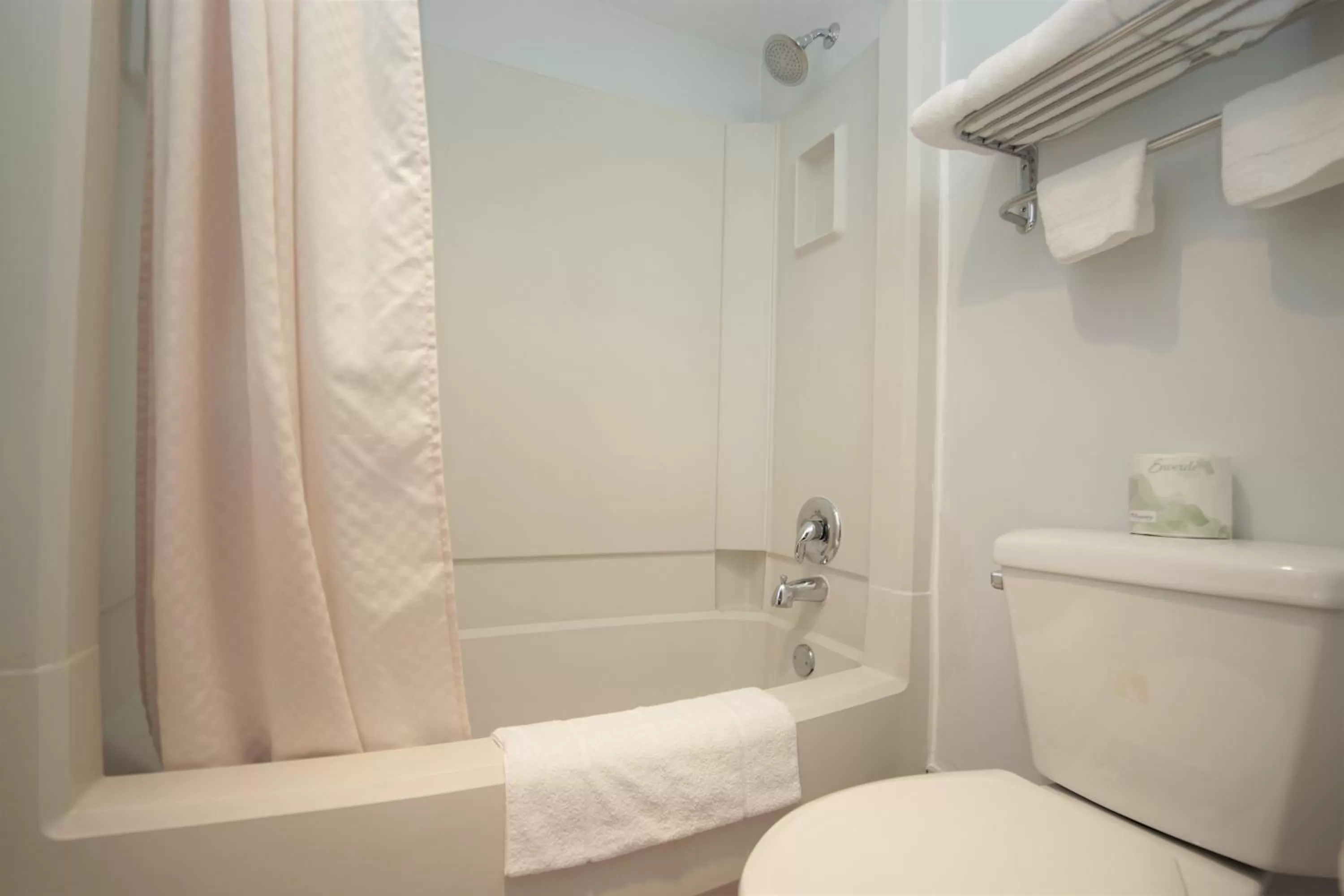 Toilet in Royal Inn Hudson I-94