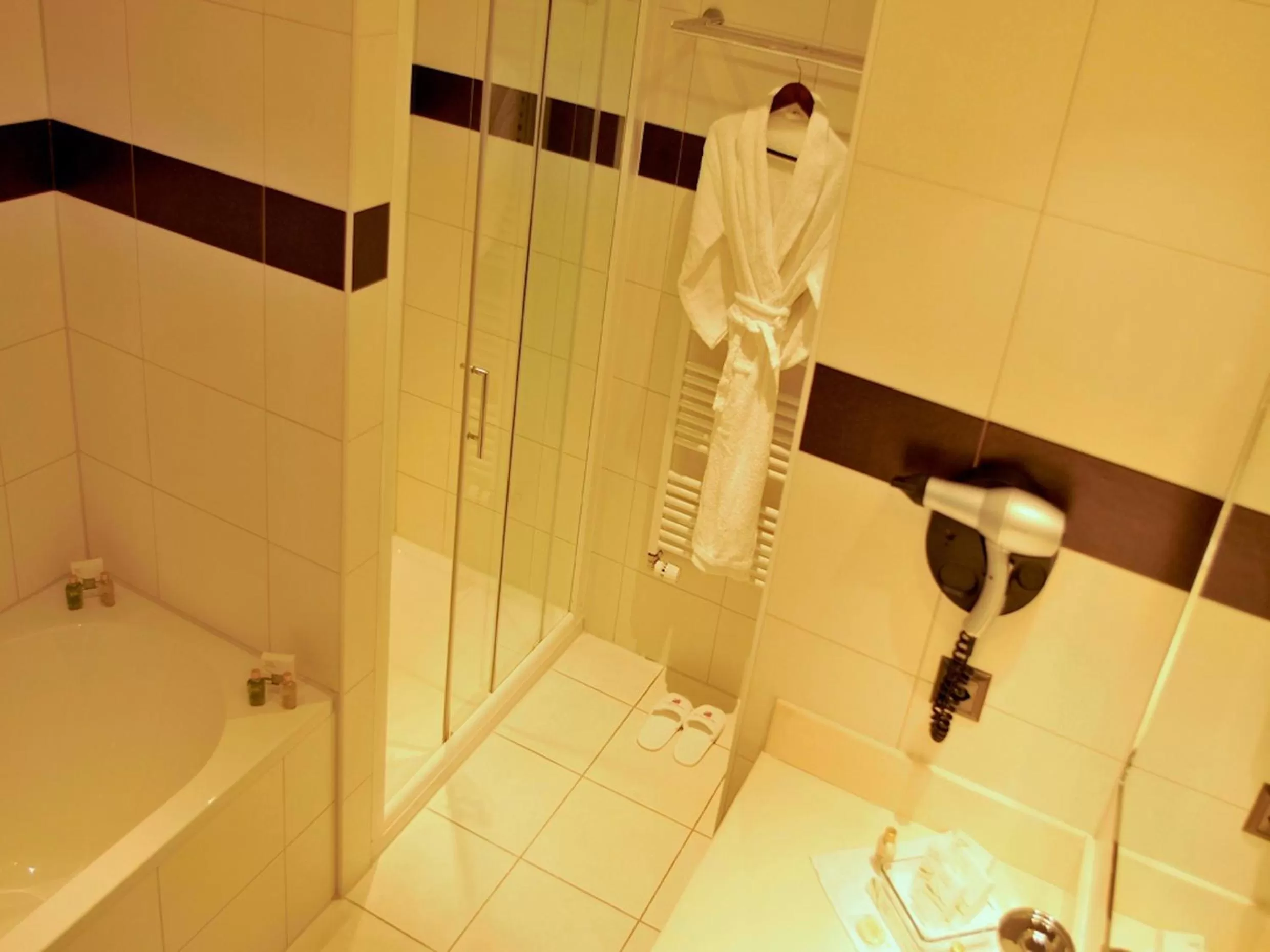 Shower in Airport Hotel Basel - Convenient & Friendly