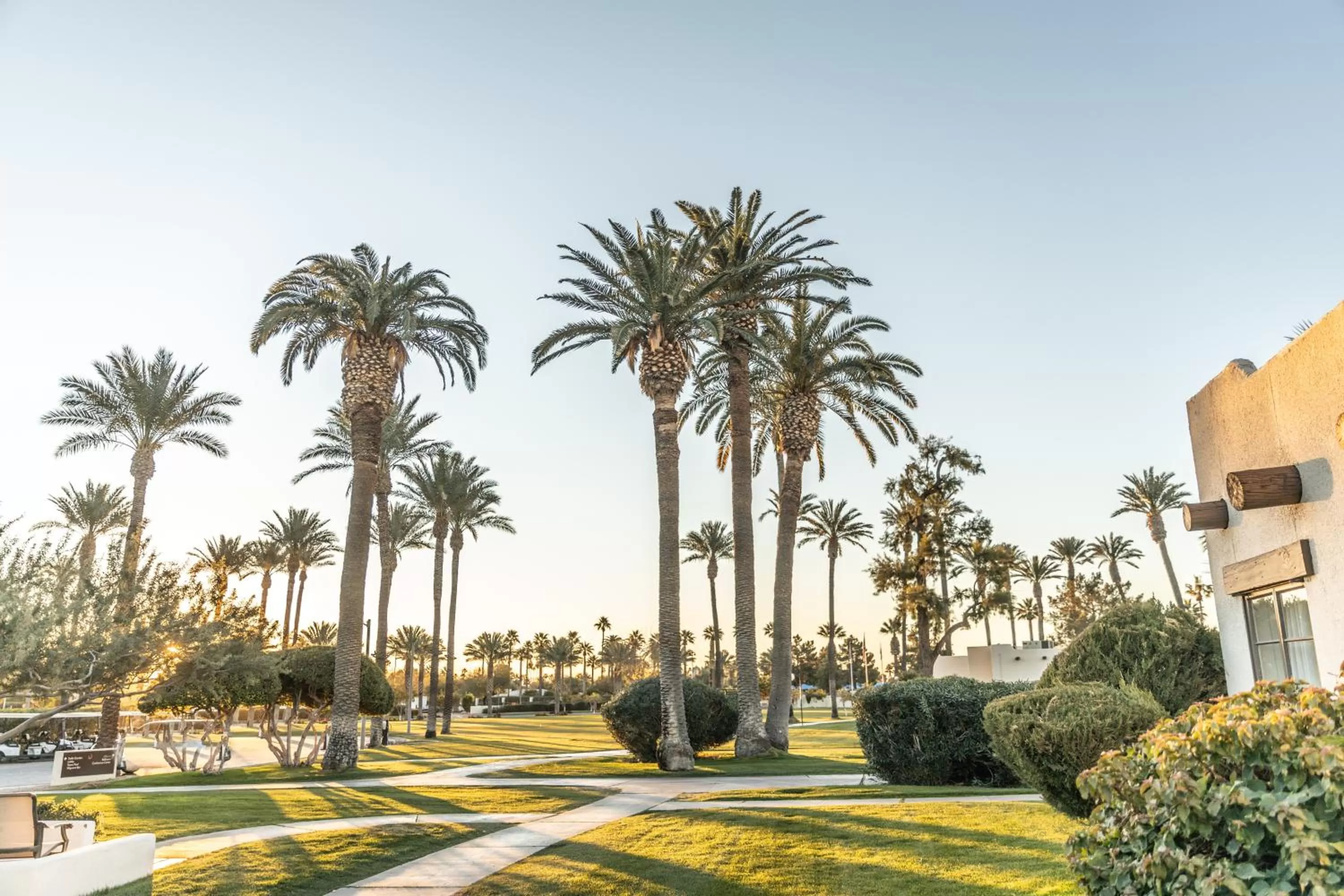Garden in The Wigwam
