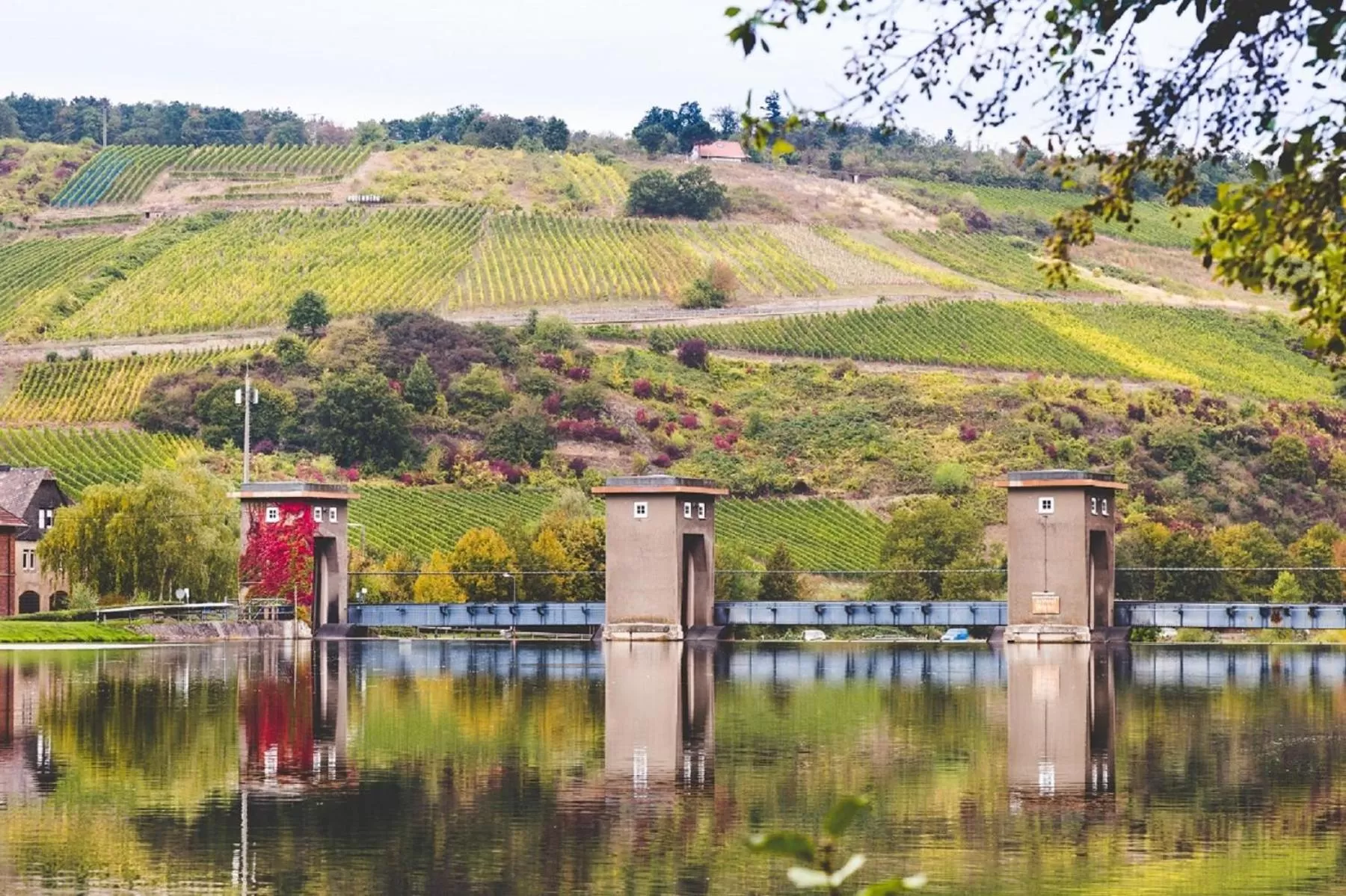 Natural landscape in Hotel Nahetal