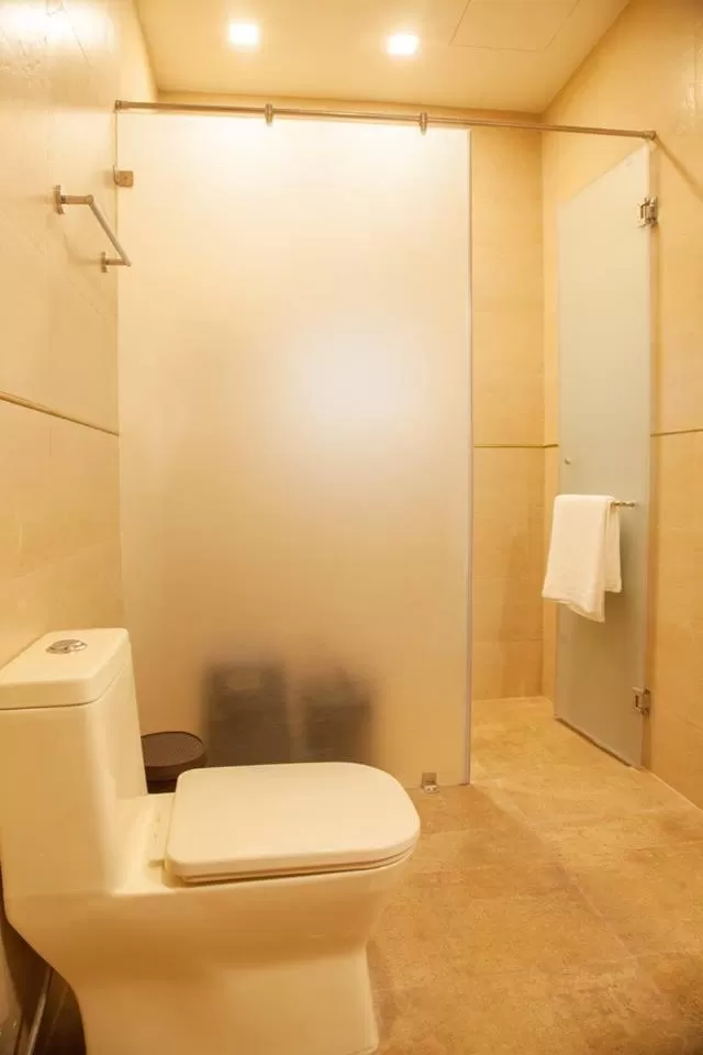 Toilet in The Ivy House