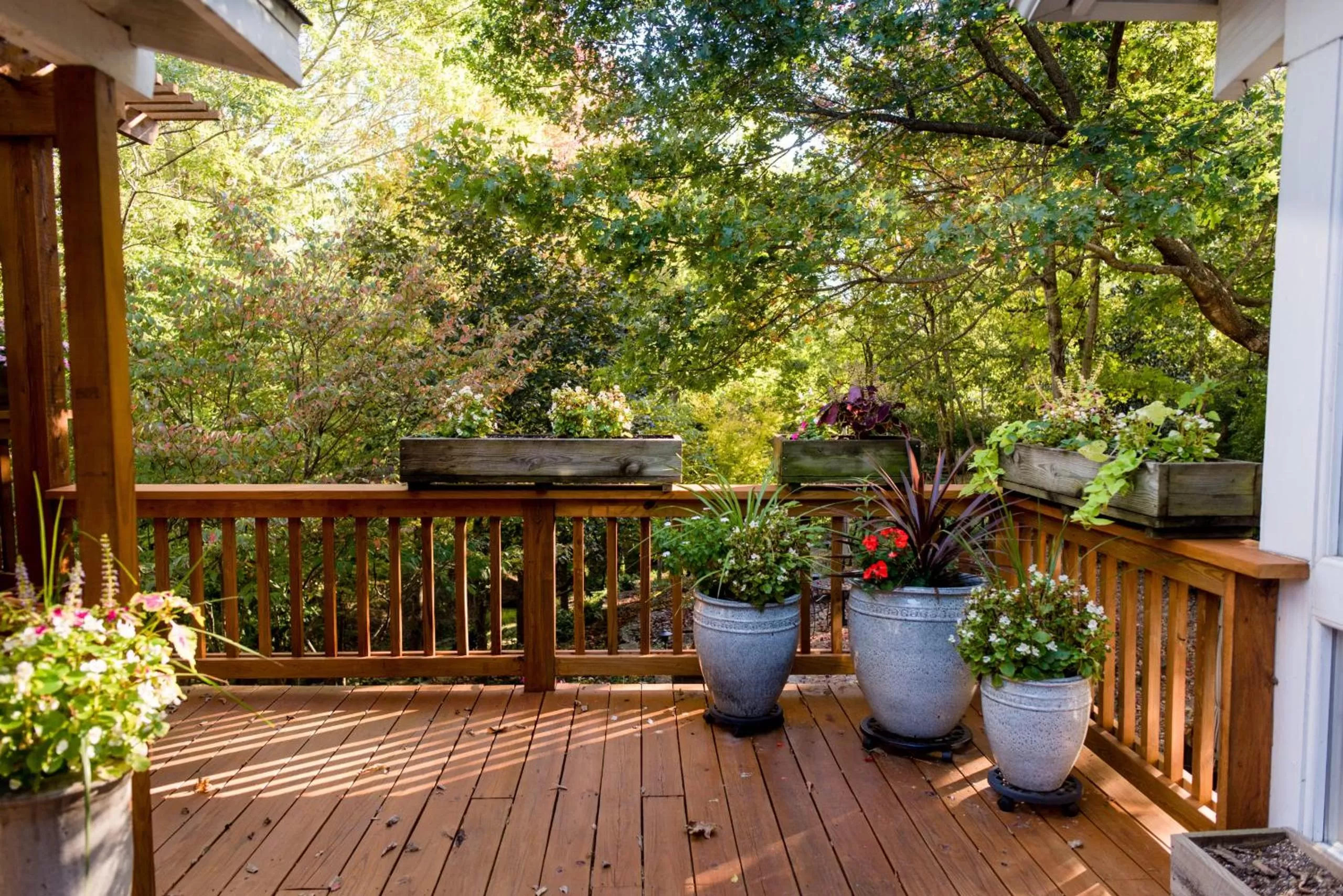 Dickson Street Bed & Breakfast