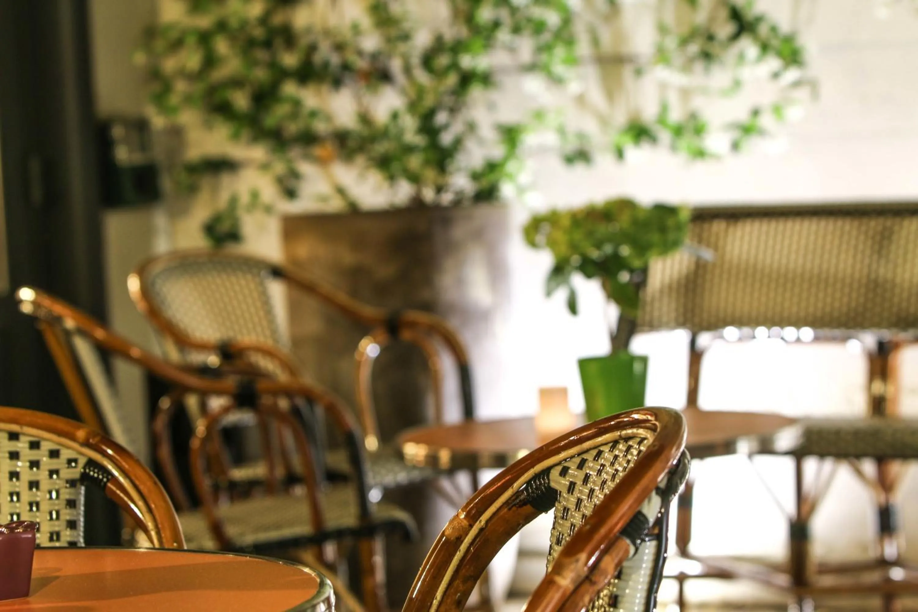 Garden in Hôtel Vic Eiffel