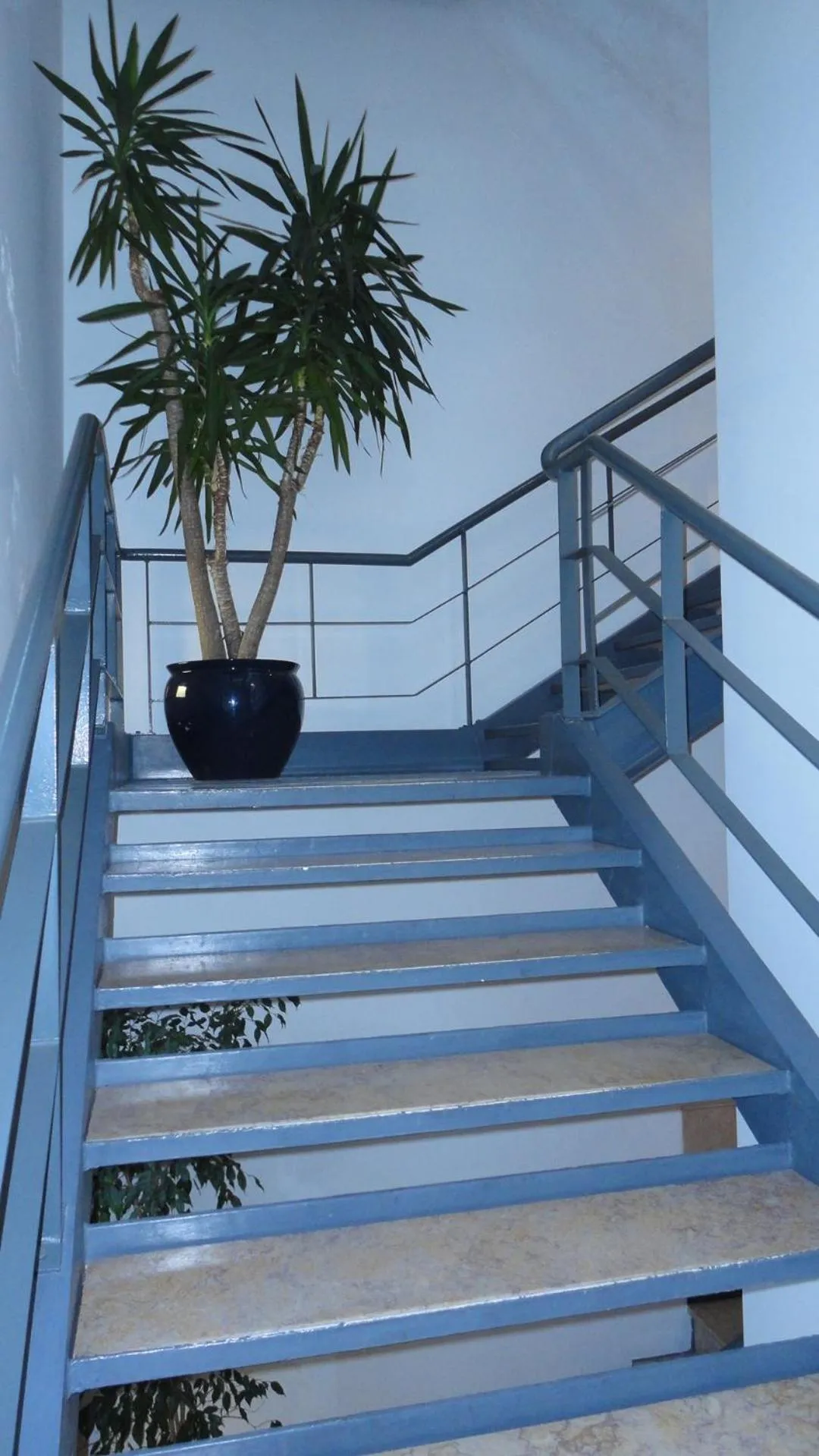 Decorative detail in INATEL Caparica