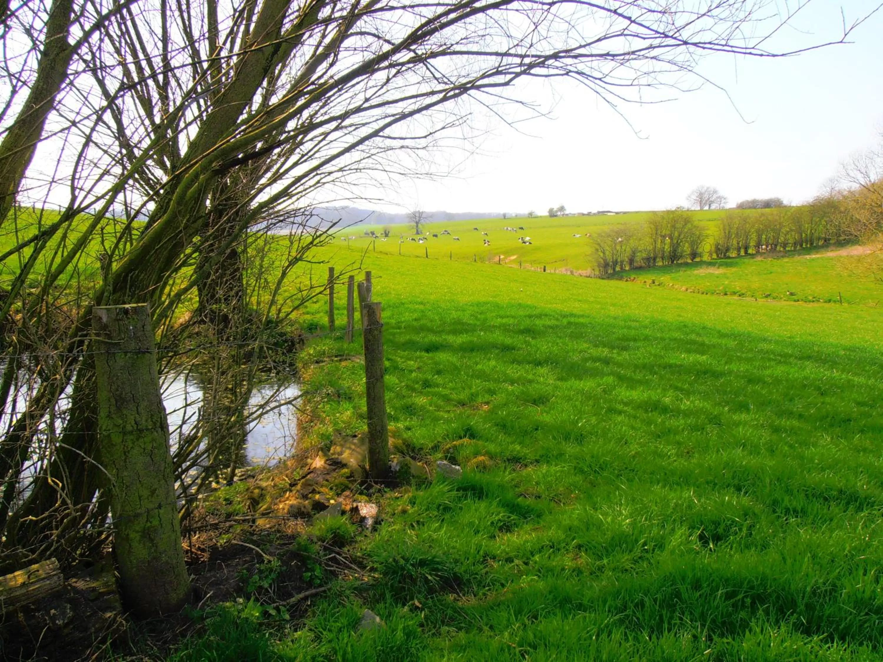 Other in Hotel Restaurant The Kings Head Inn