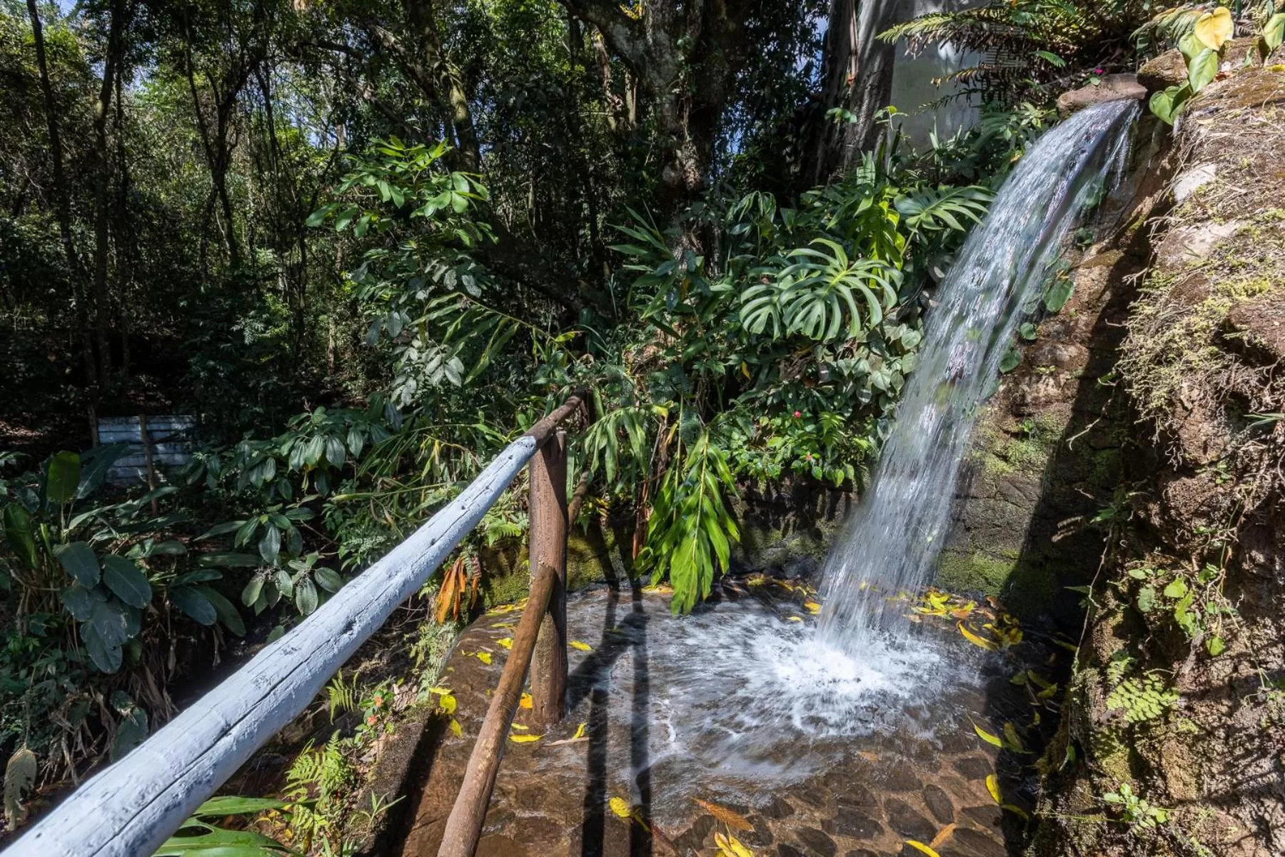 Natural landscape in Pousada das Brumas
