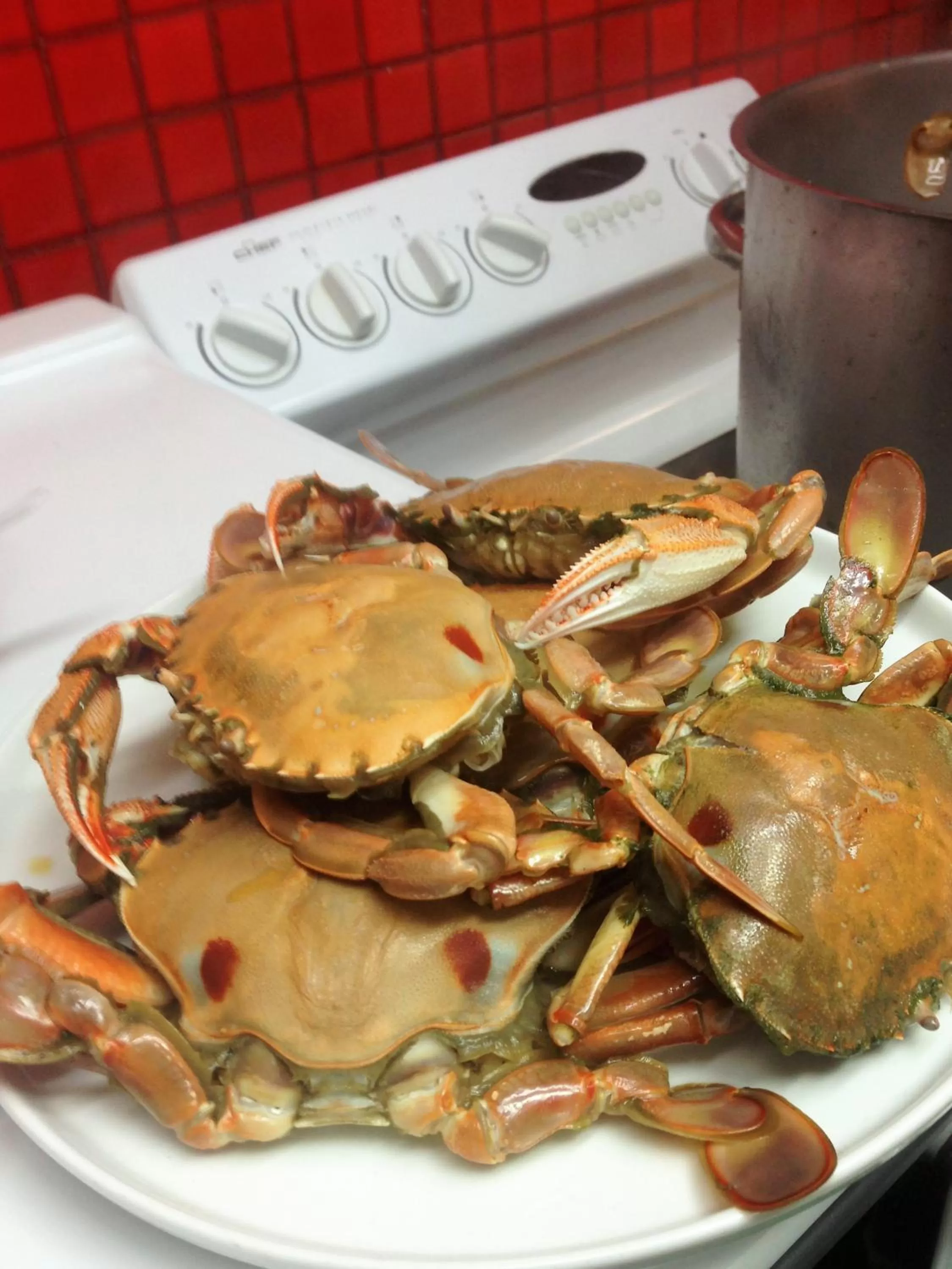 BBQ facilities in Abel Tasman Waterfront Motel