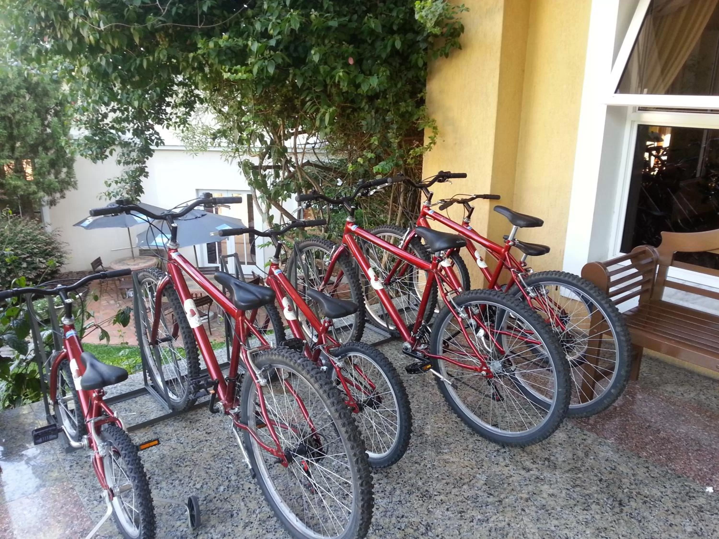Cycling in Hotel Villa Michelon