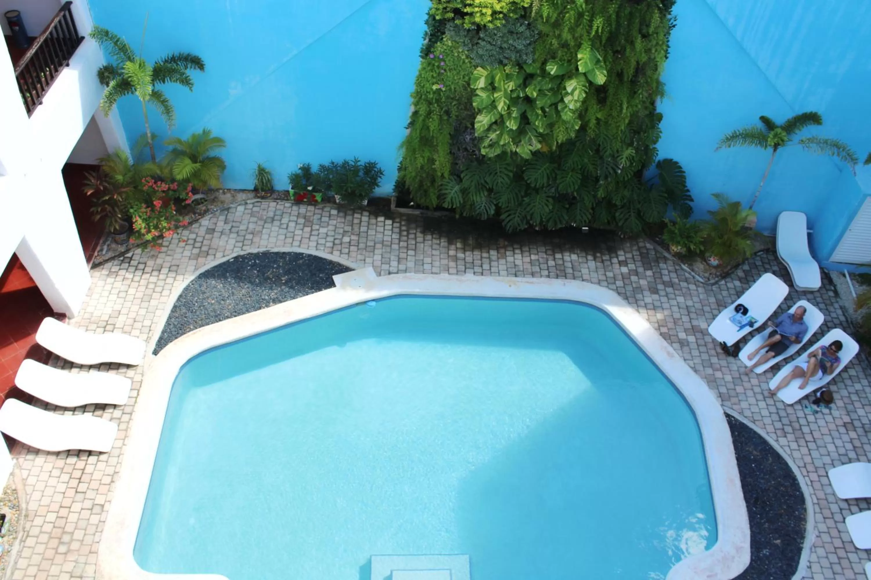 Garden view, Swimming Pool in Hotel Berny