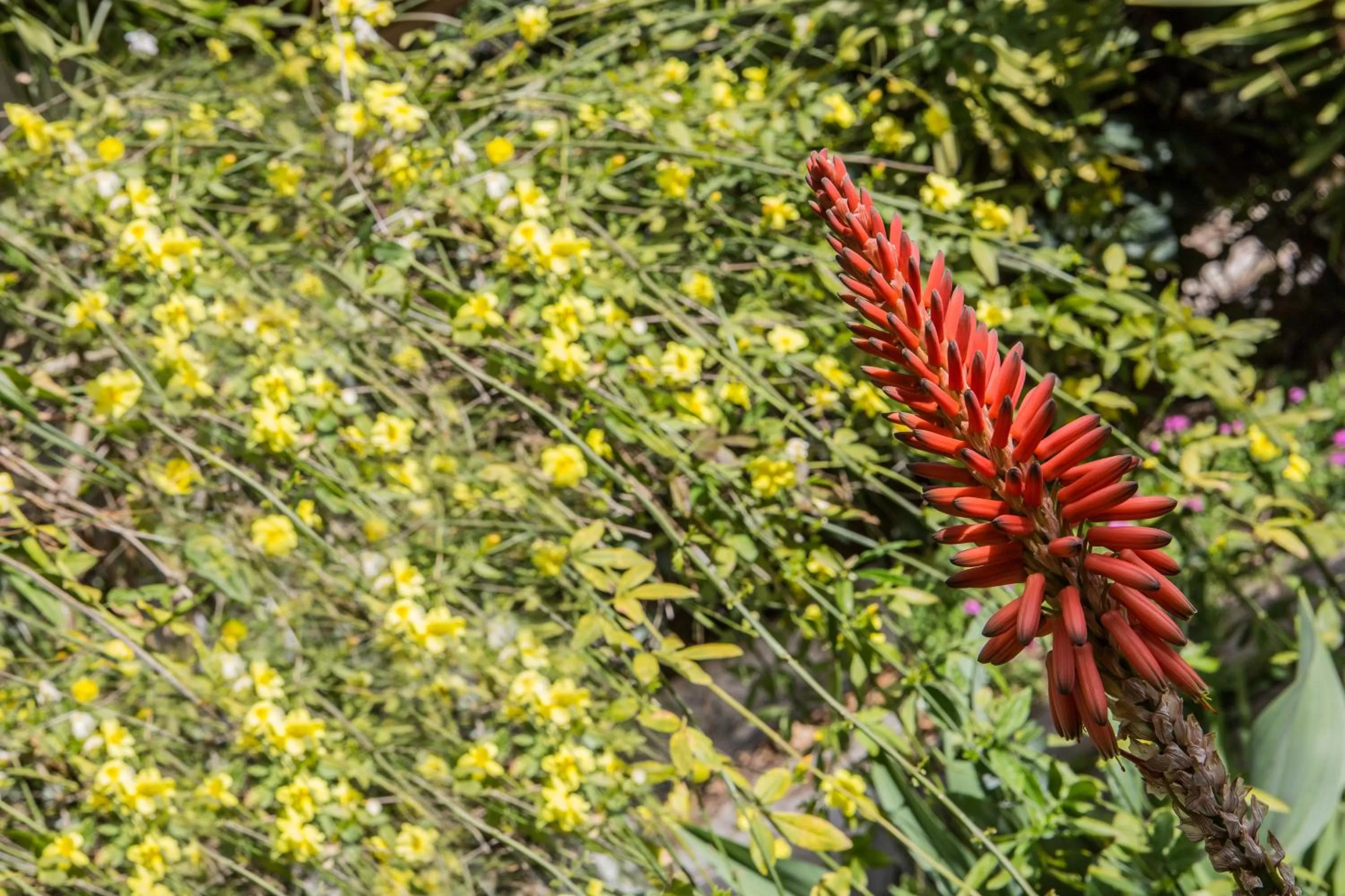 Day in Alghero in bicicletta