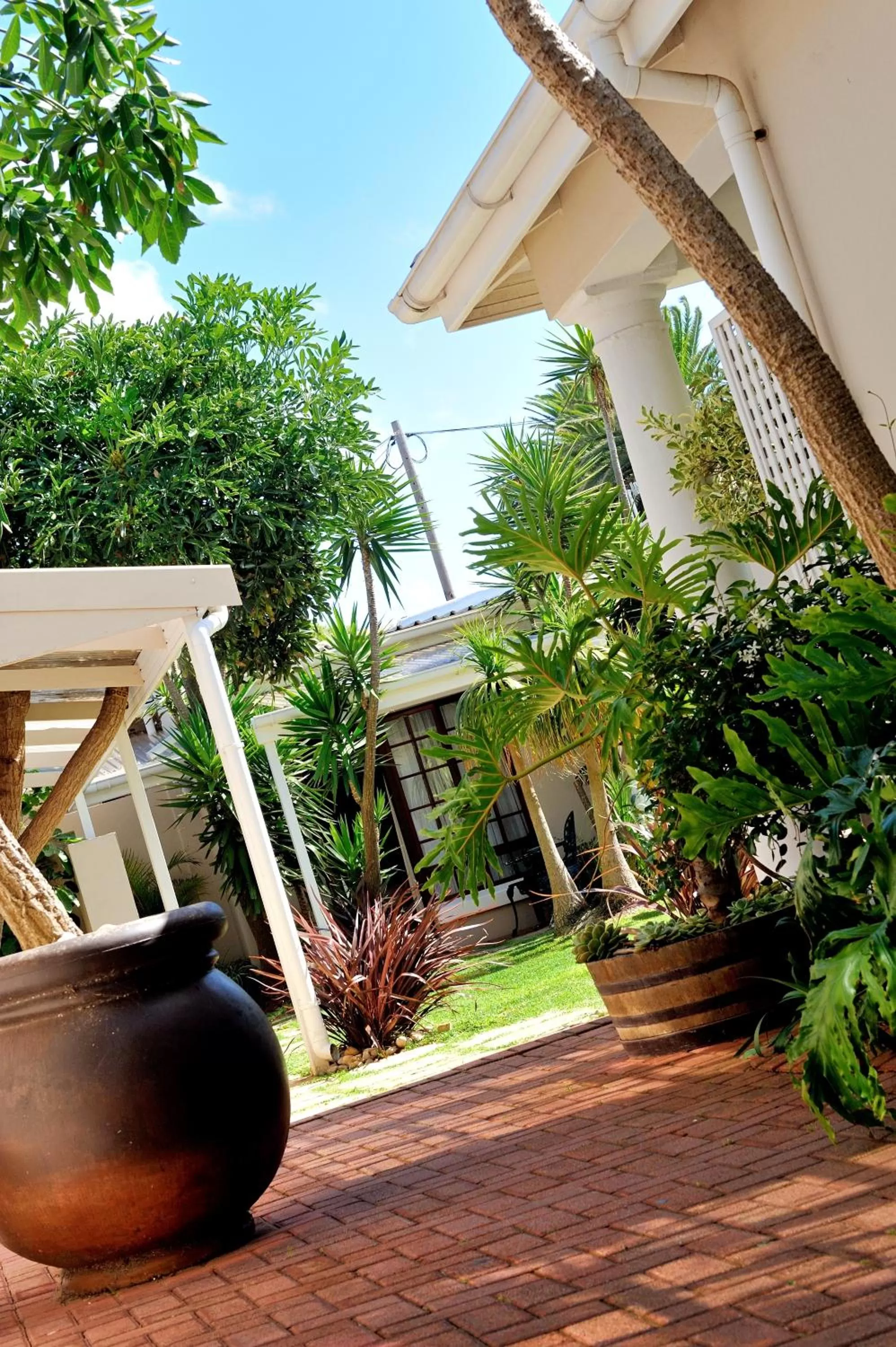 Garden in Beachwalk Bed and Breakfast - #Solar Energy #No Loadshedding