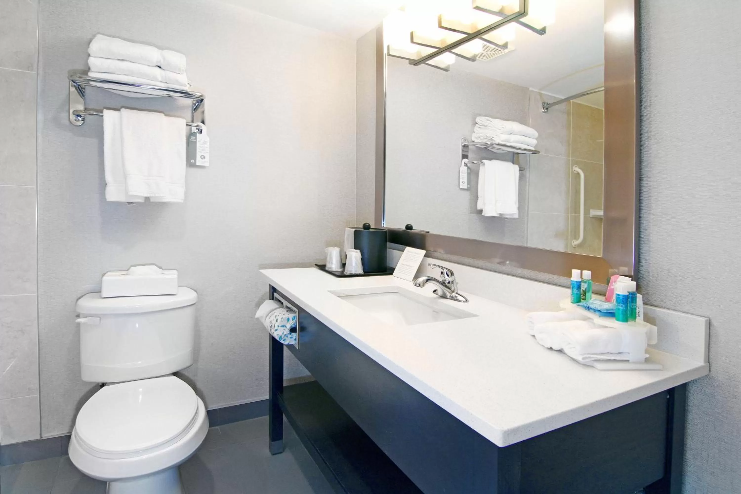 Bathroom in Holiday Inn Express and Suites Calgary by IHG