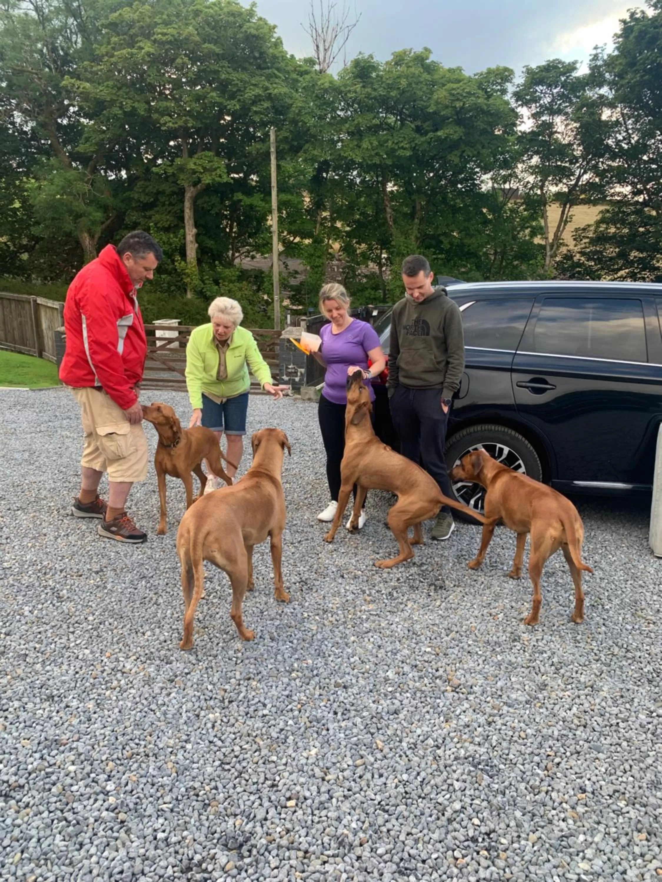 Garden in Beudy Bach