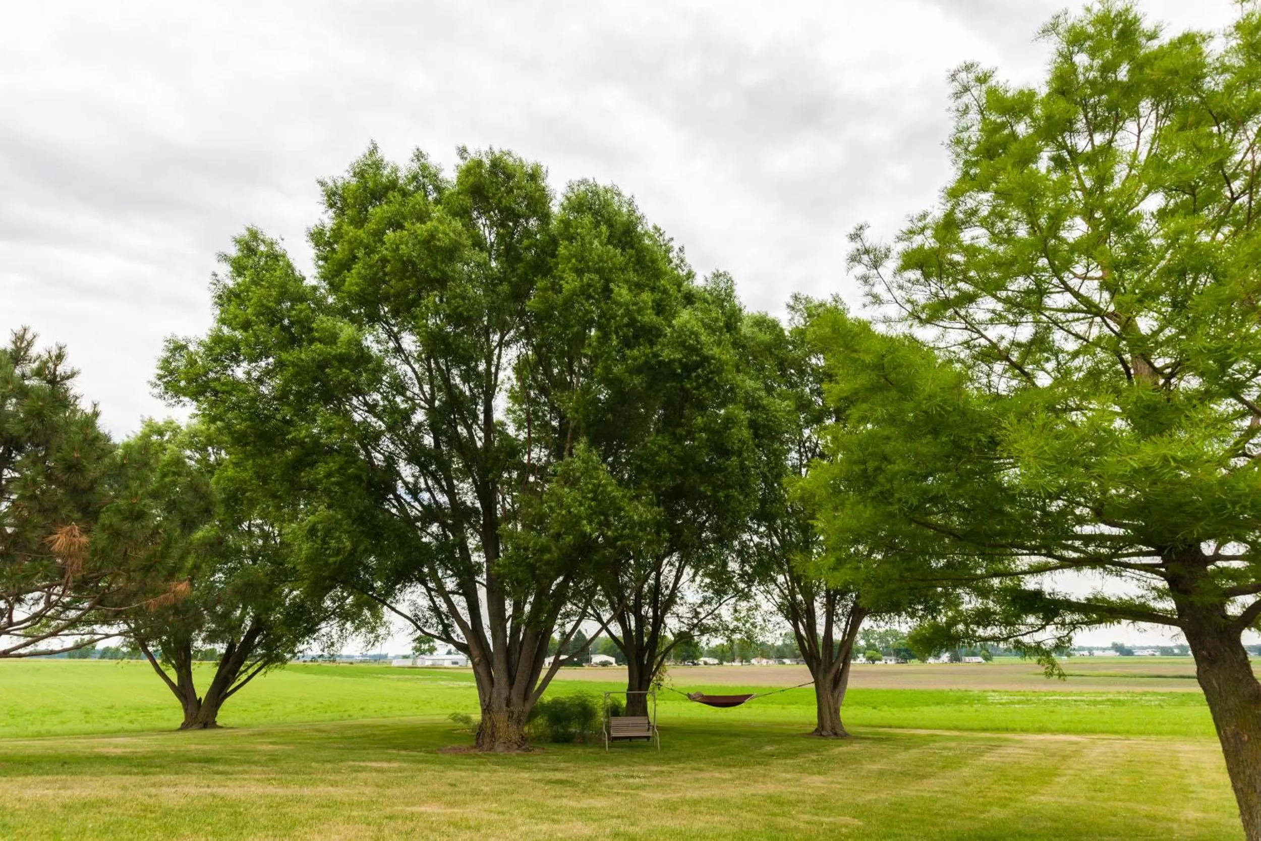 Garden in Scottish Bed & Breakfast