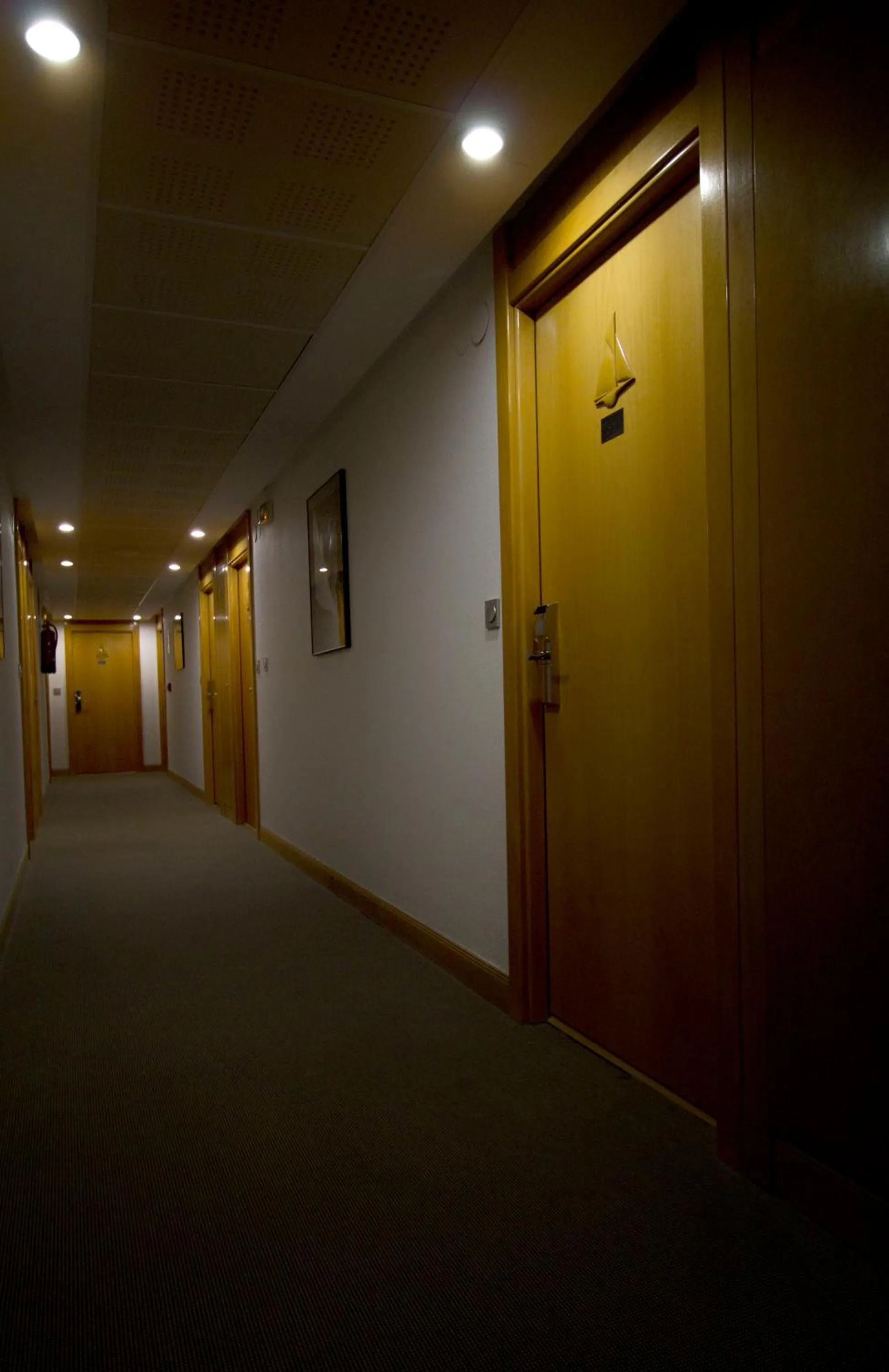 Area and facilities in Hotel Jauregui