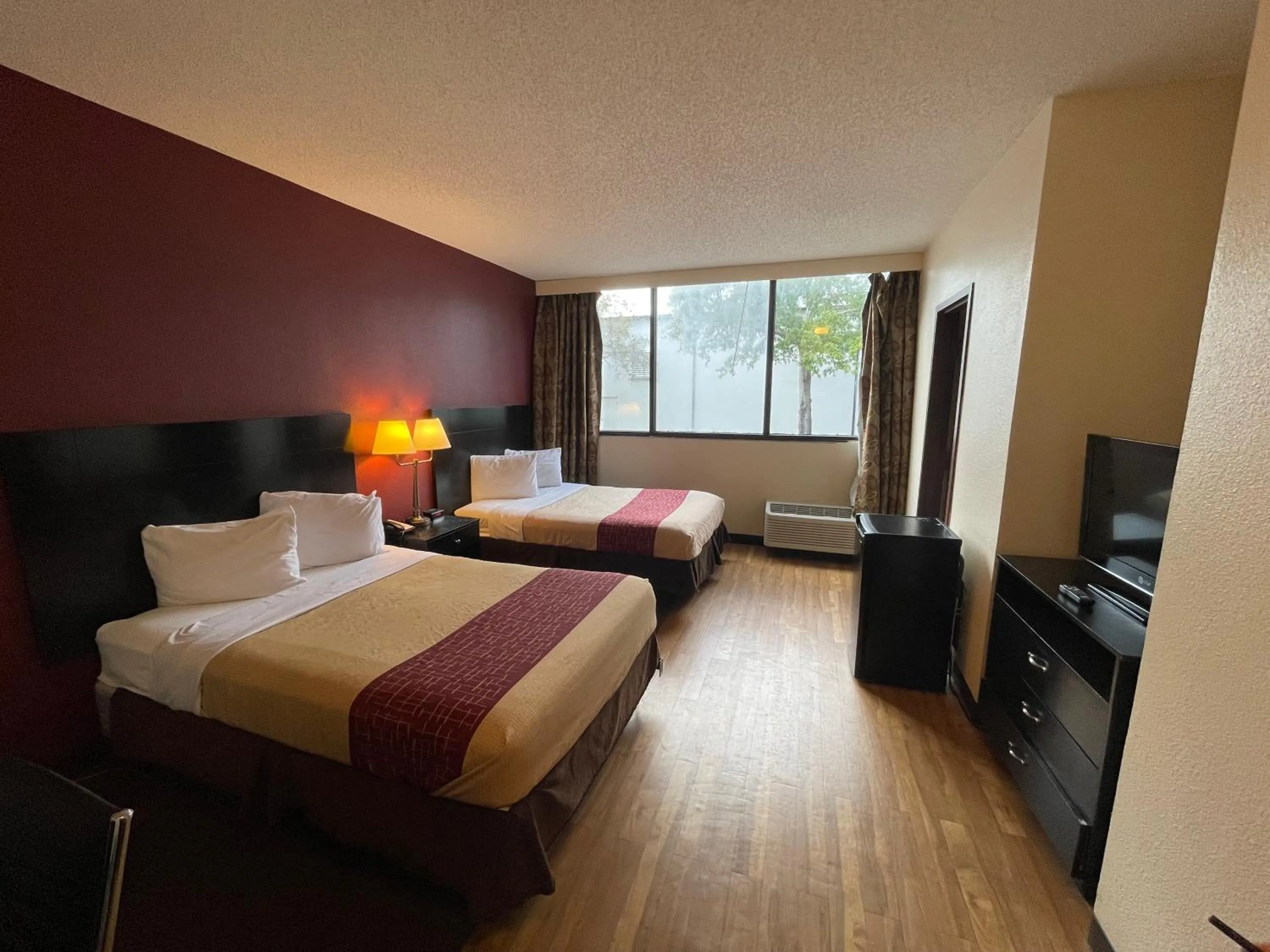 Photo of the whole room in Tropical Palms Hotel