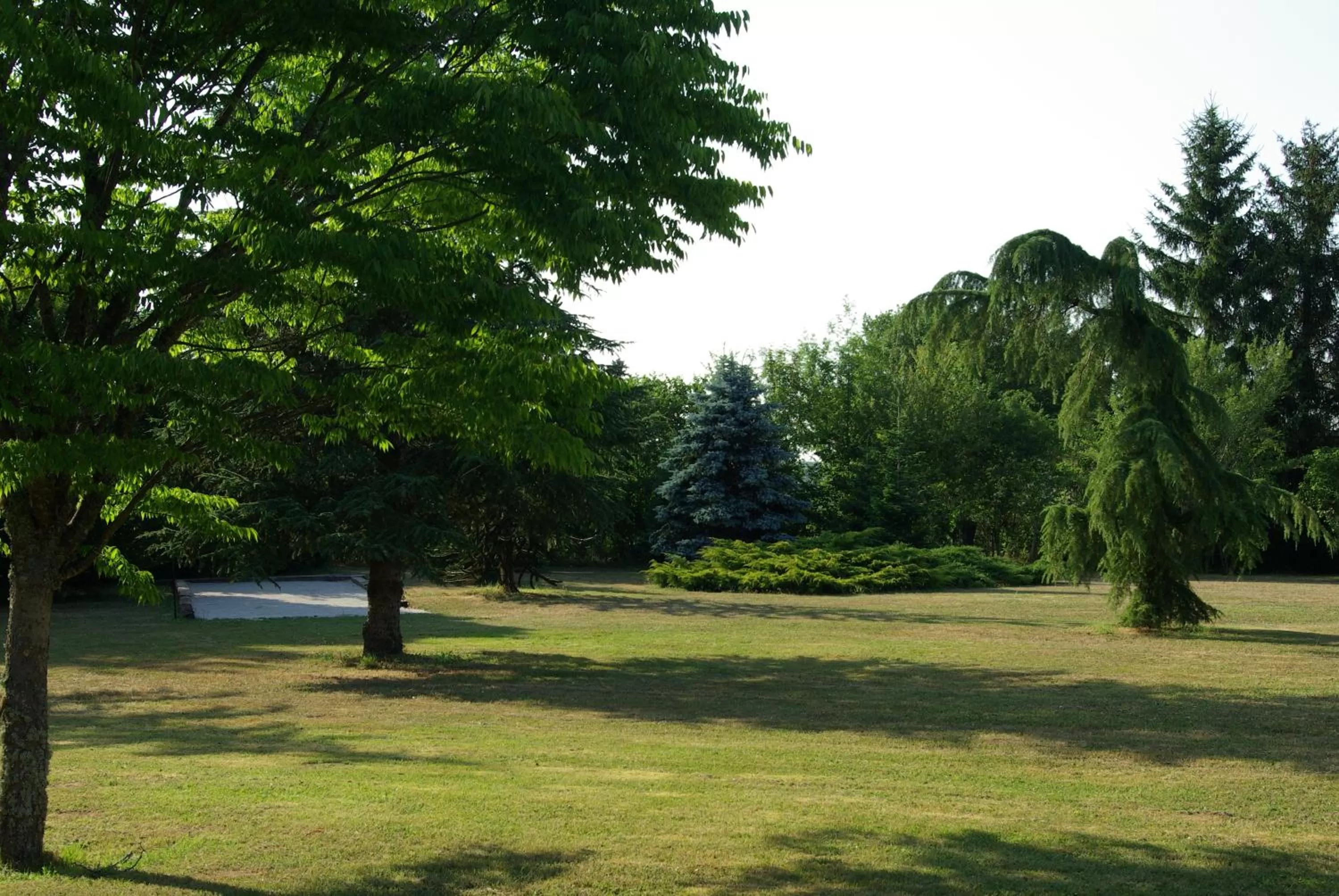 Natural landscape in A l'Orée du Parc