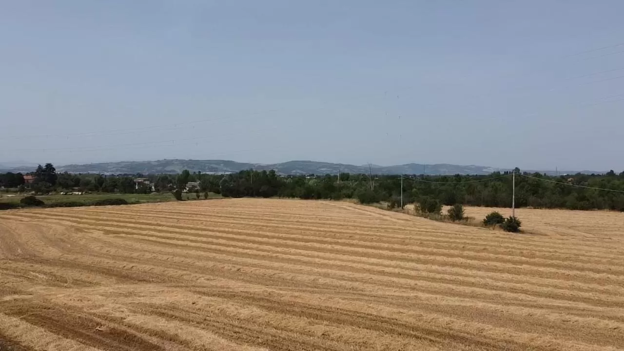 Sala dell Estate Guest House