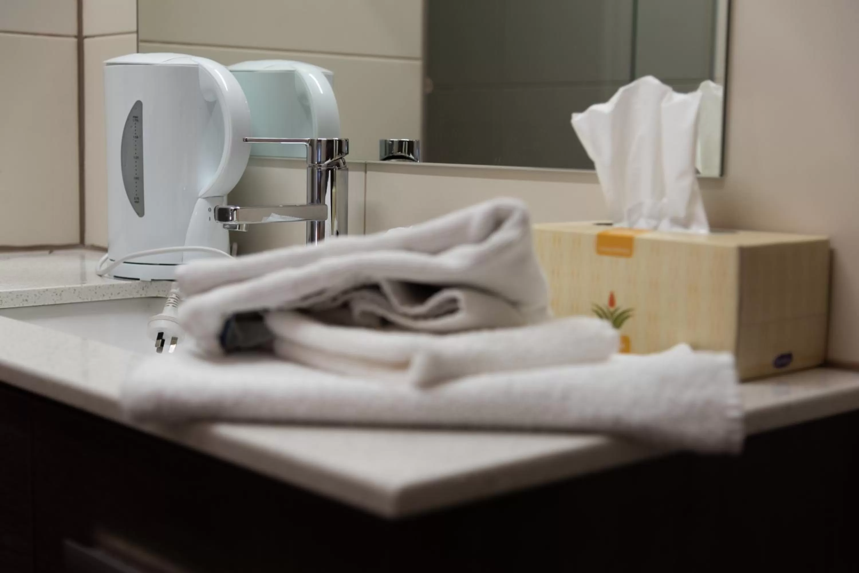 Bathroom in Black Forest Motel