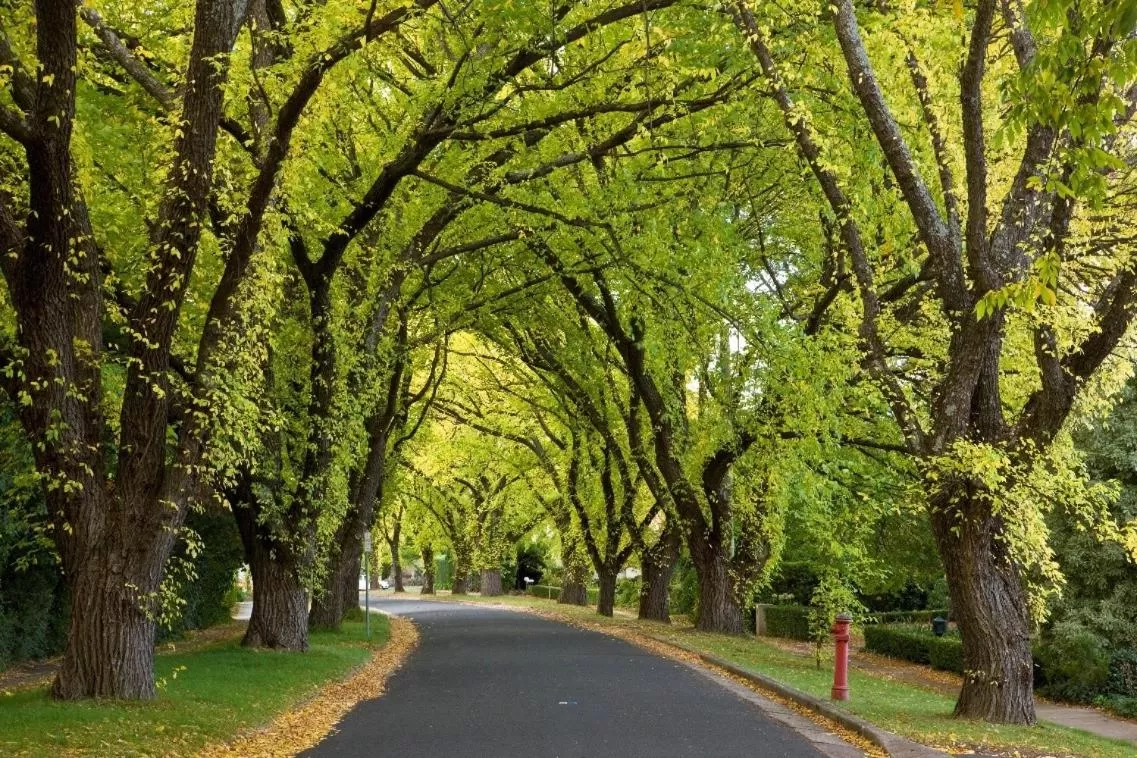 Neighbourhood in Forrest Hotel & Apartments