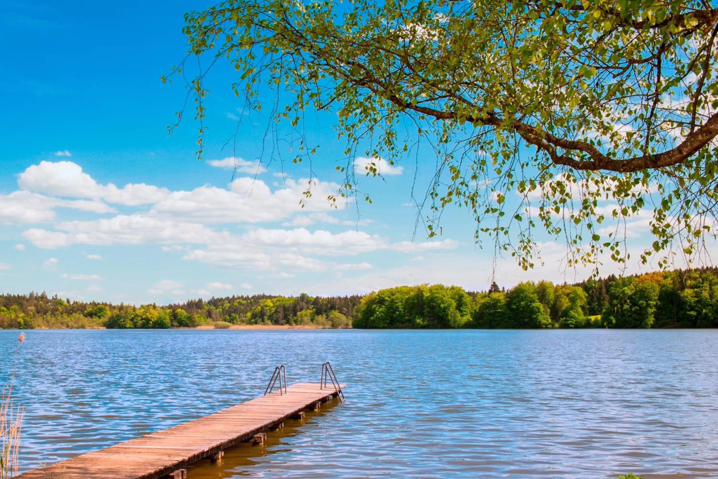 Beach in Hotel Seeblick & Ferienwohnung