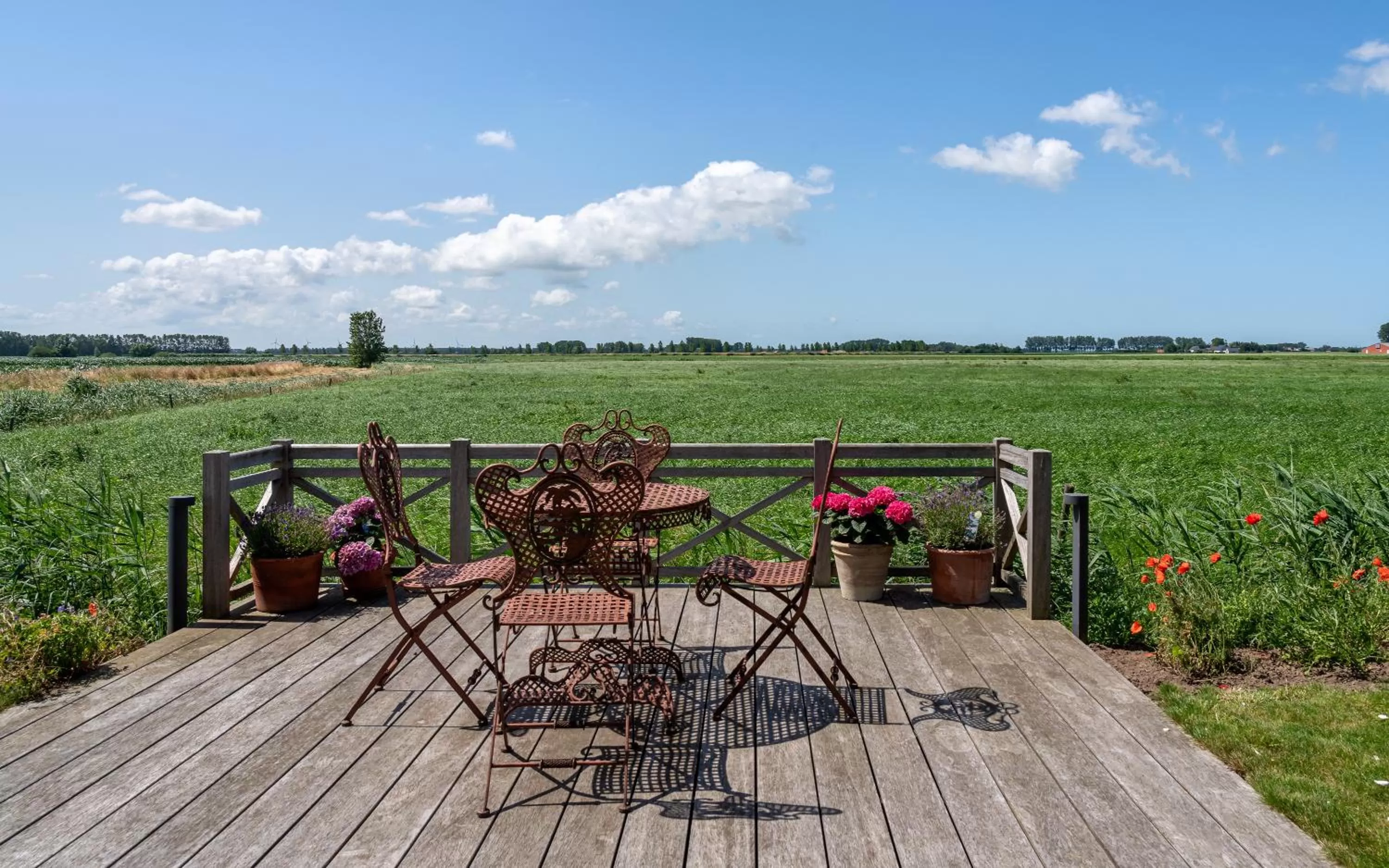 Garden view in B&B De Hemelse Polder
