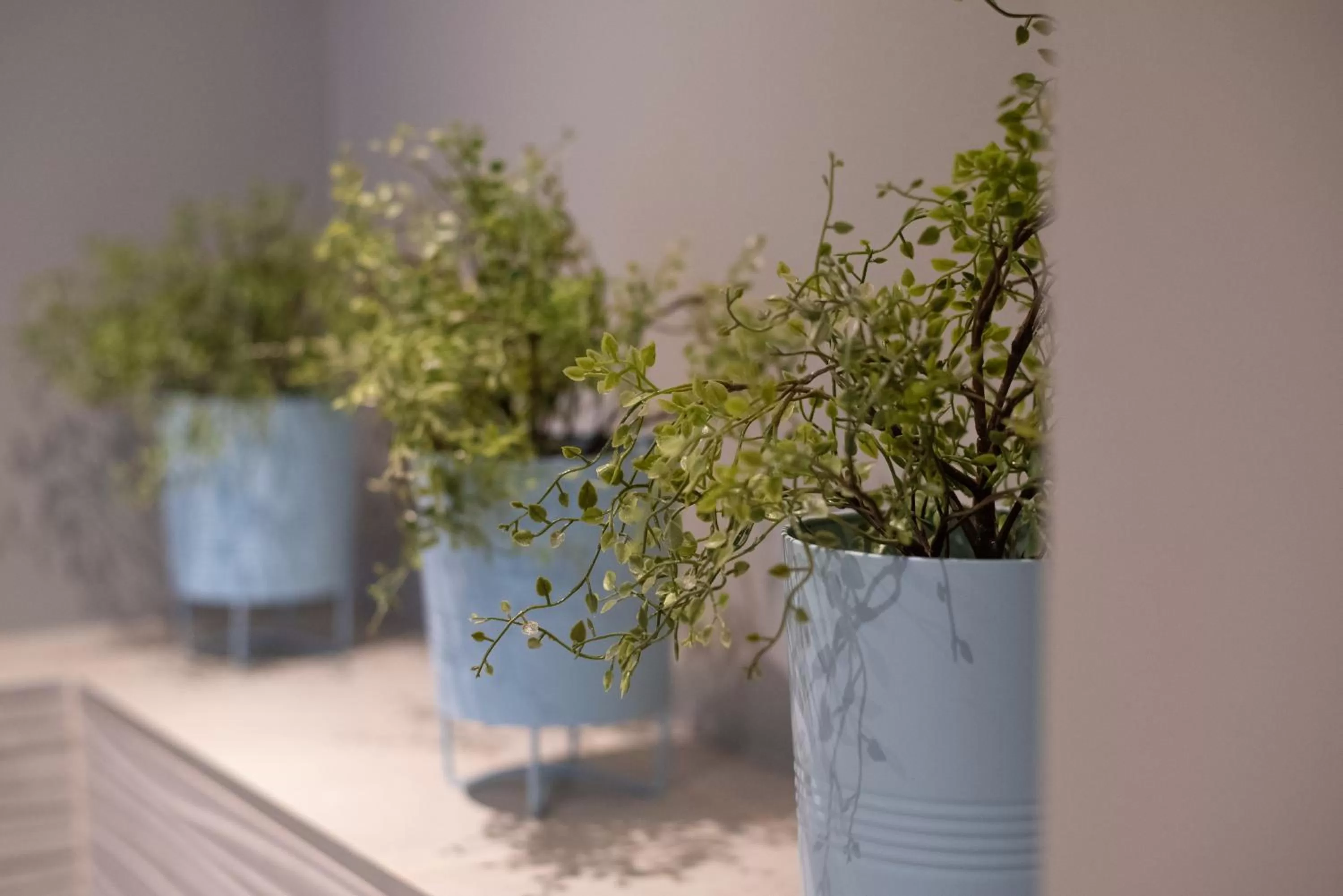 Shower in Komfort Zone