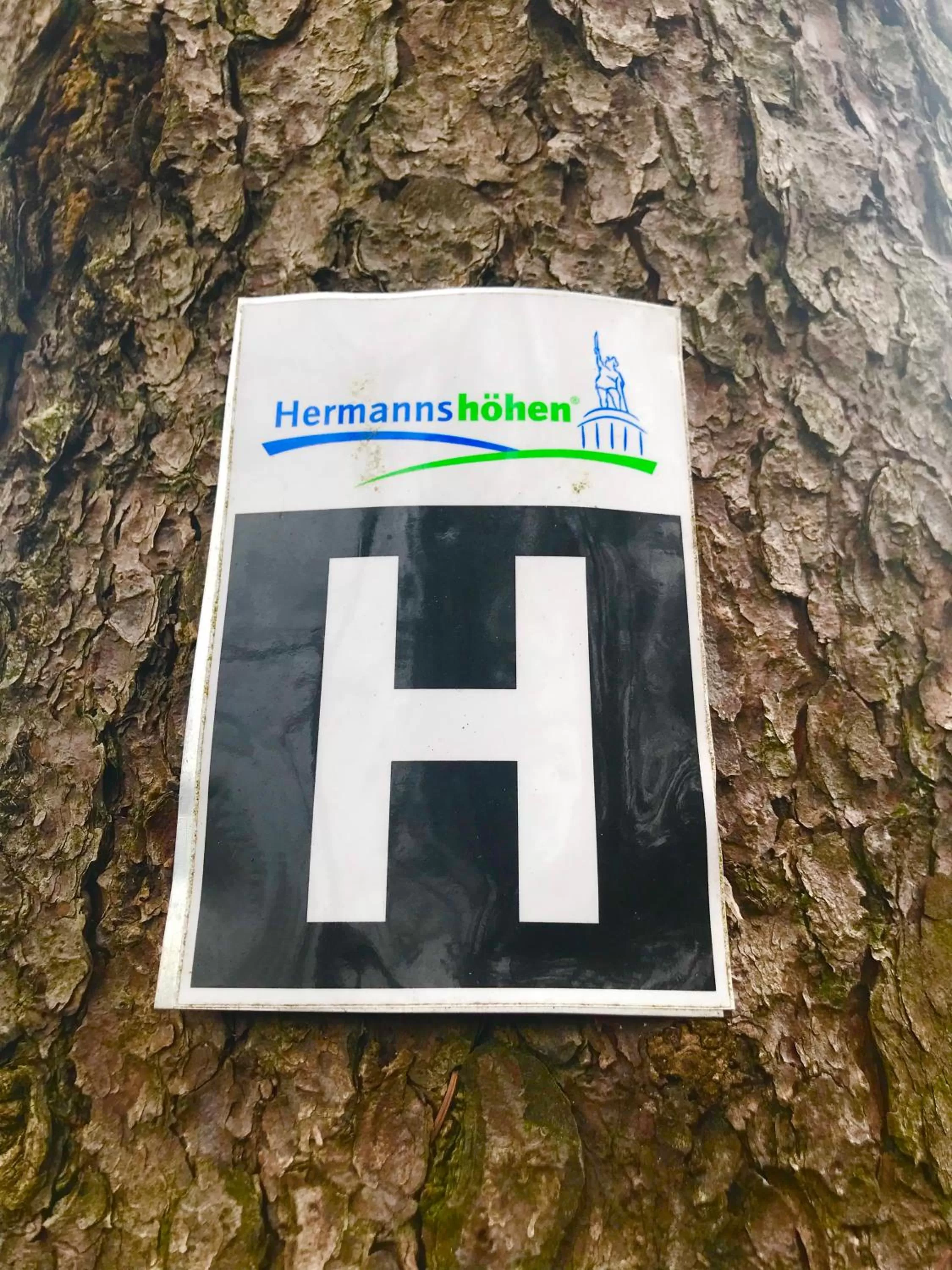 Waldhotel "Peter aufm Berge"