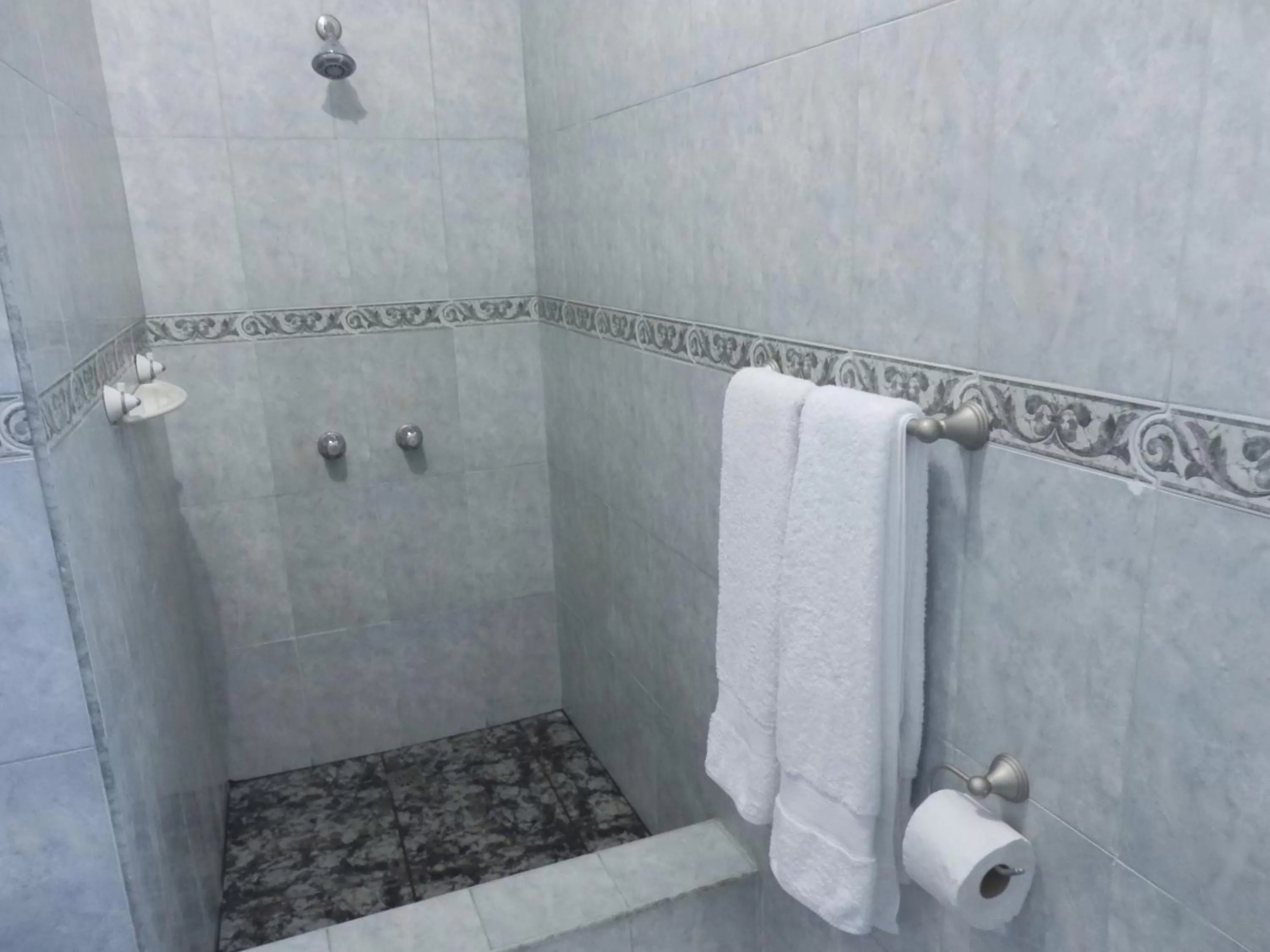 Shower in Hotel Garant & Suites