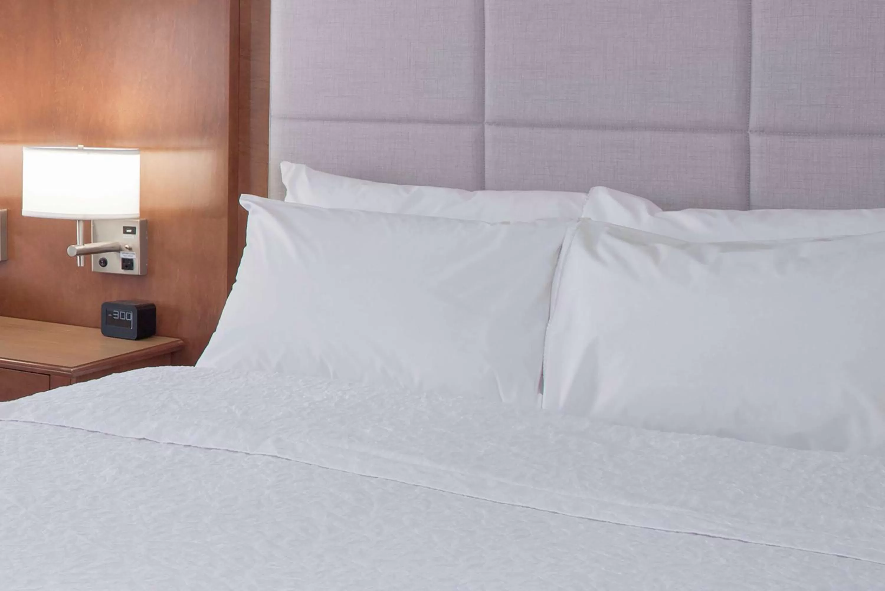 King Suite - Mobility/Hearing Access with Bath Tub - Non-Smoking in Hampton Inn & Suites Columbus Scioto Downs