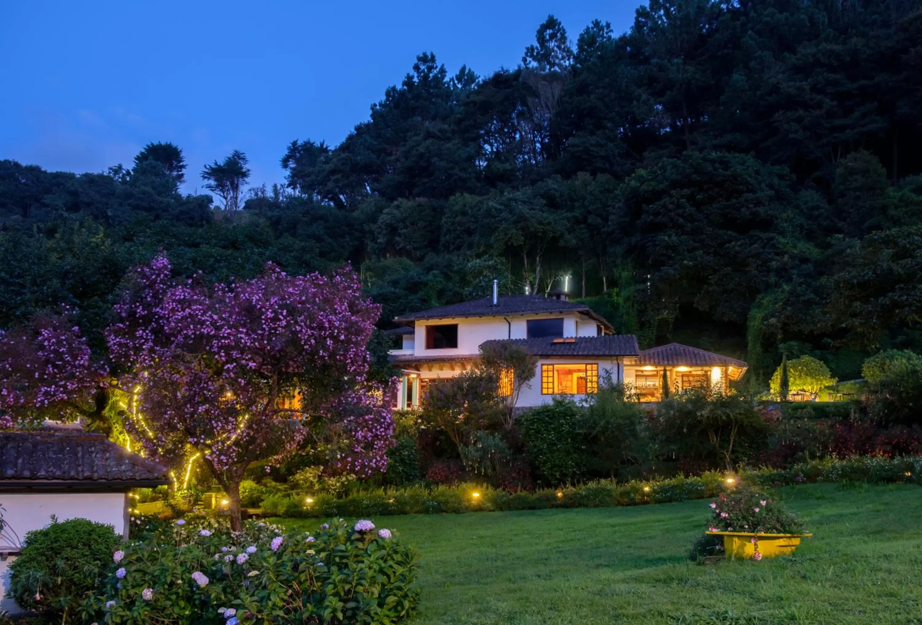 Restaurant/places to eat in Luna Volcán, Adventure SPA - formerly Luna Runtún