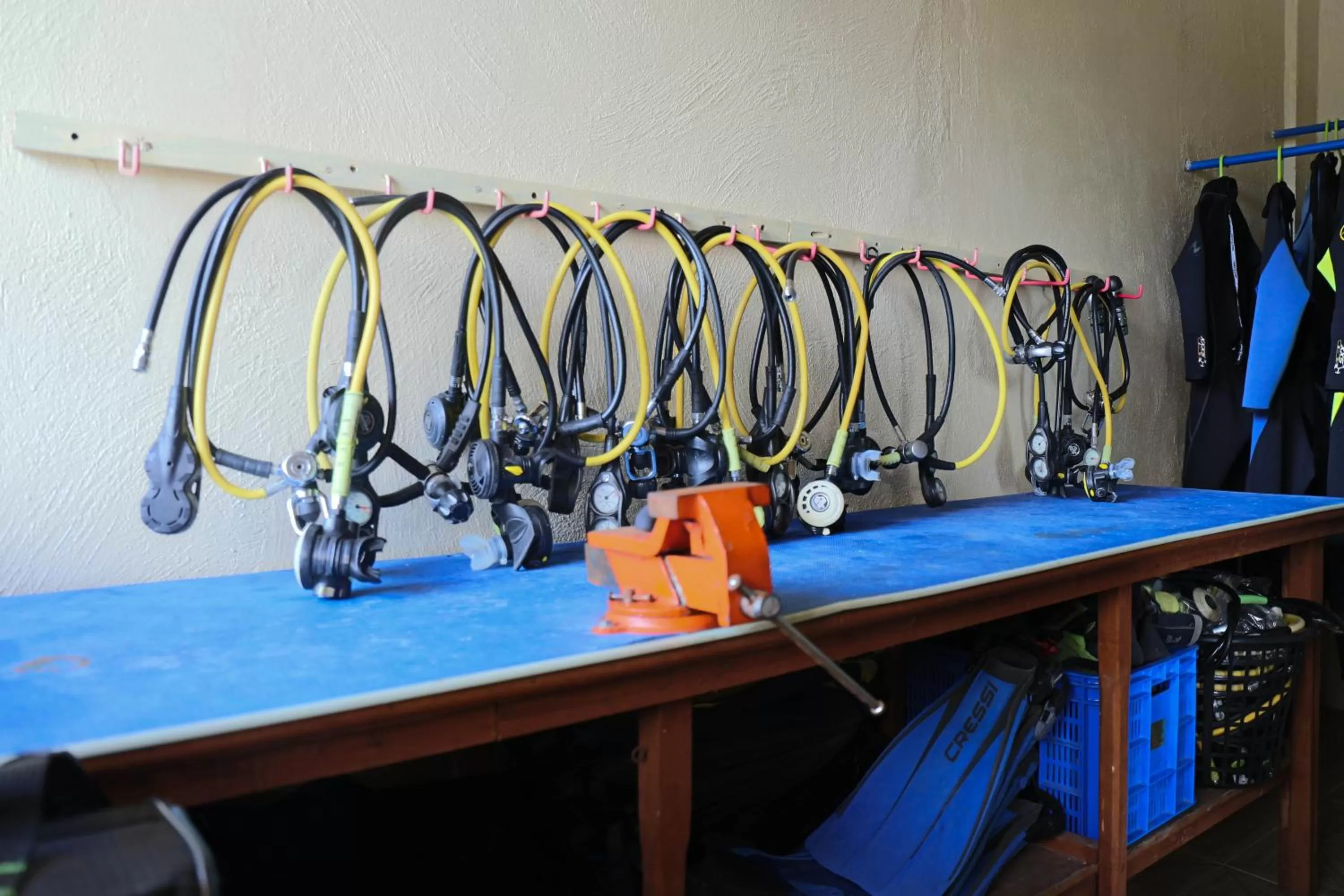 Diving in Turtle Bay Dive Resort