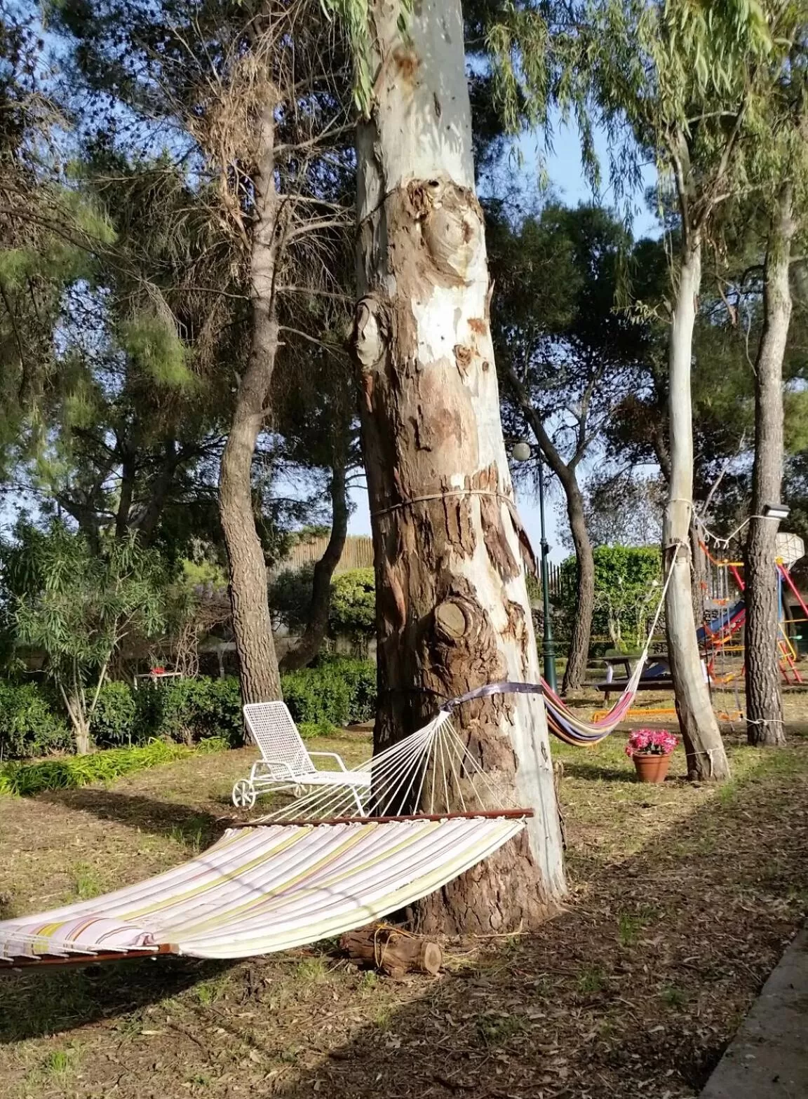 Garden in Villa Morgante B&B