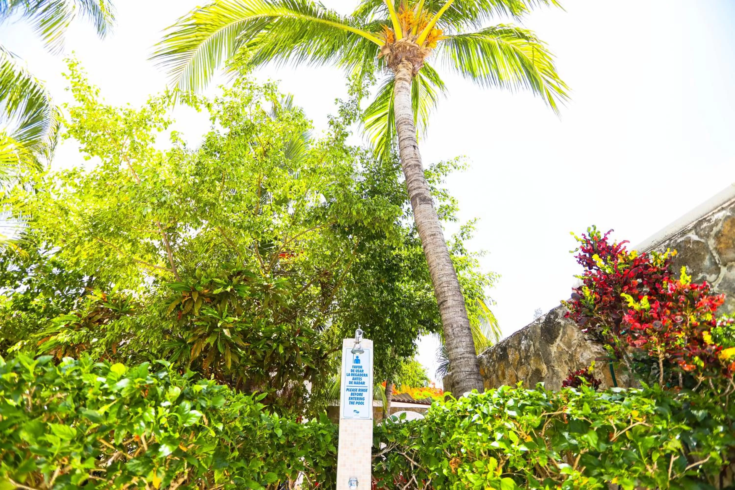 Natural landscape in Hotel Caribe Internacional Cancun