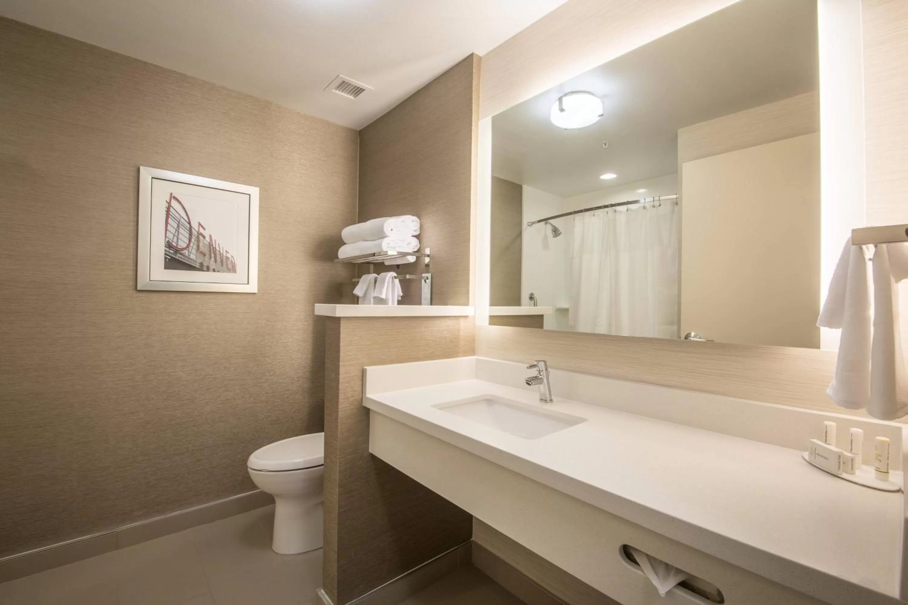 Bathroom in Fairfield Inn & Suites by Marriott Denver Downtown