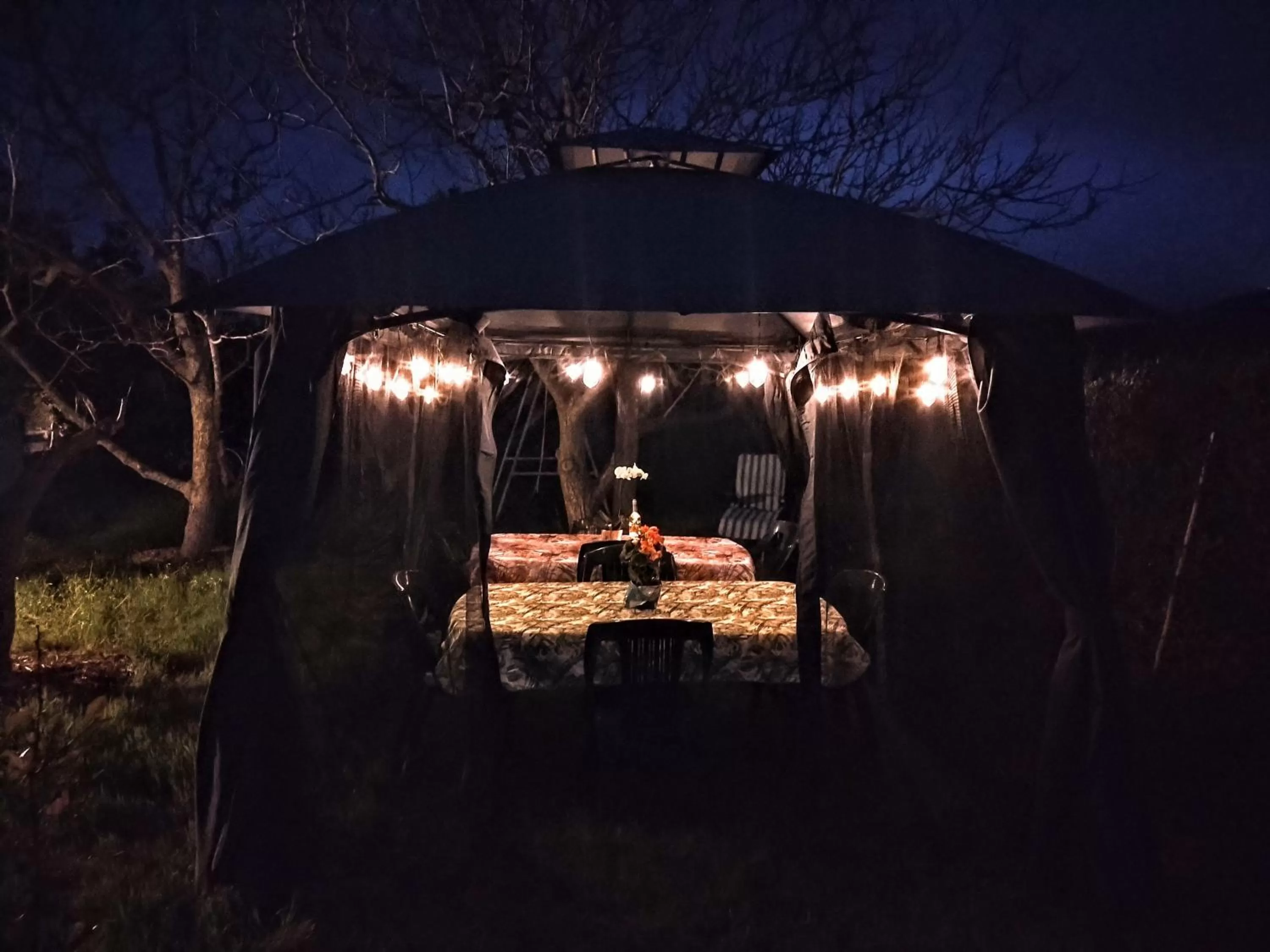 Restaurant/places to eat in Alghero in bicicletta