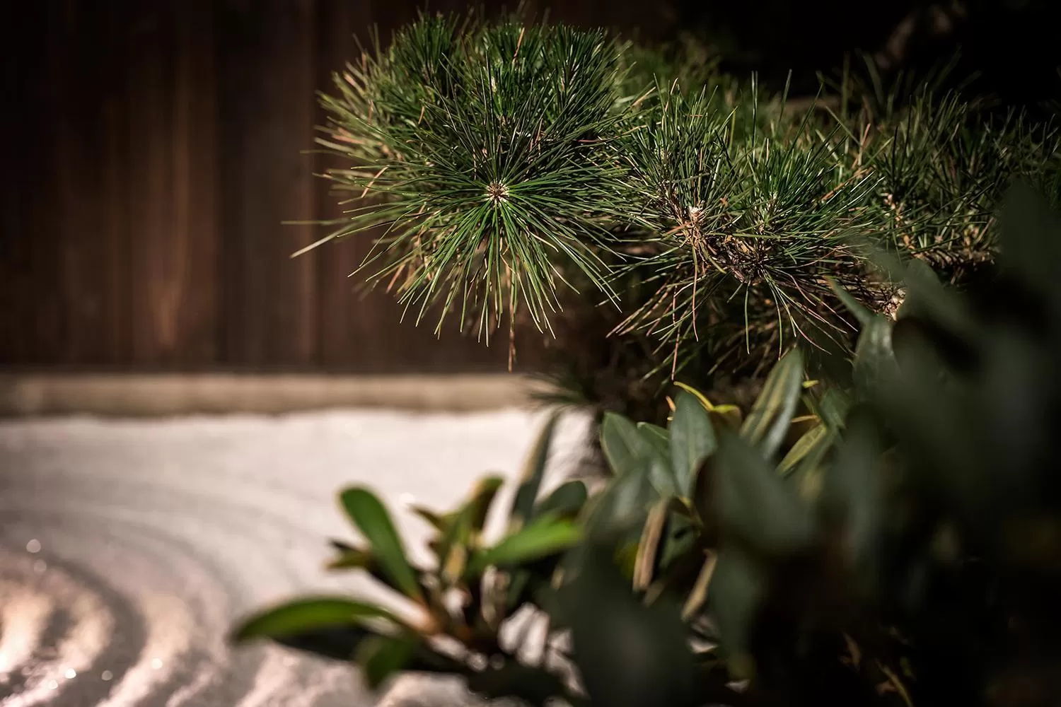 Garden in Villa Sanjomuromachi KYOTO