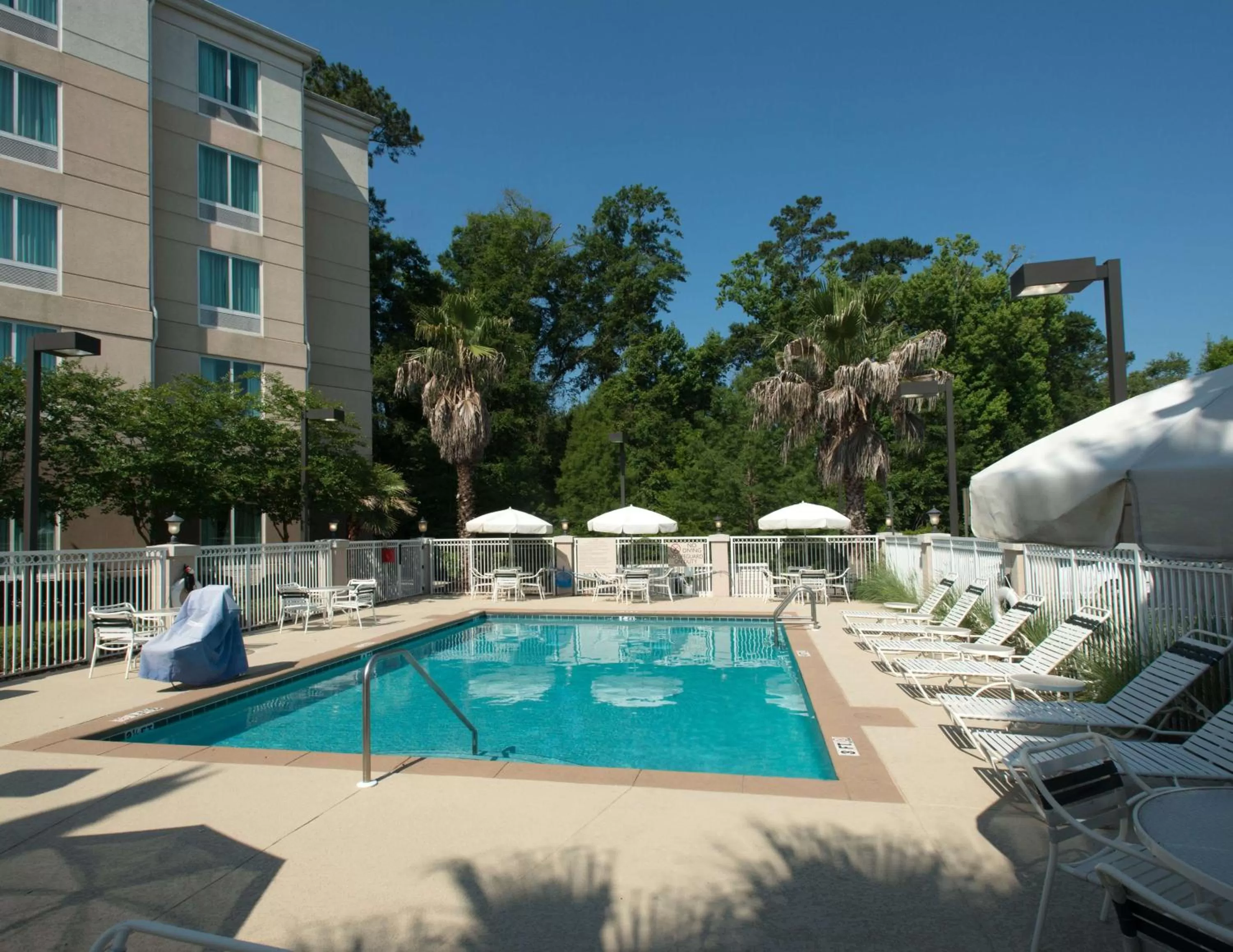Pool view in Hilton Garden Inn Tallahassee Central