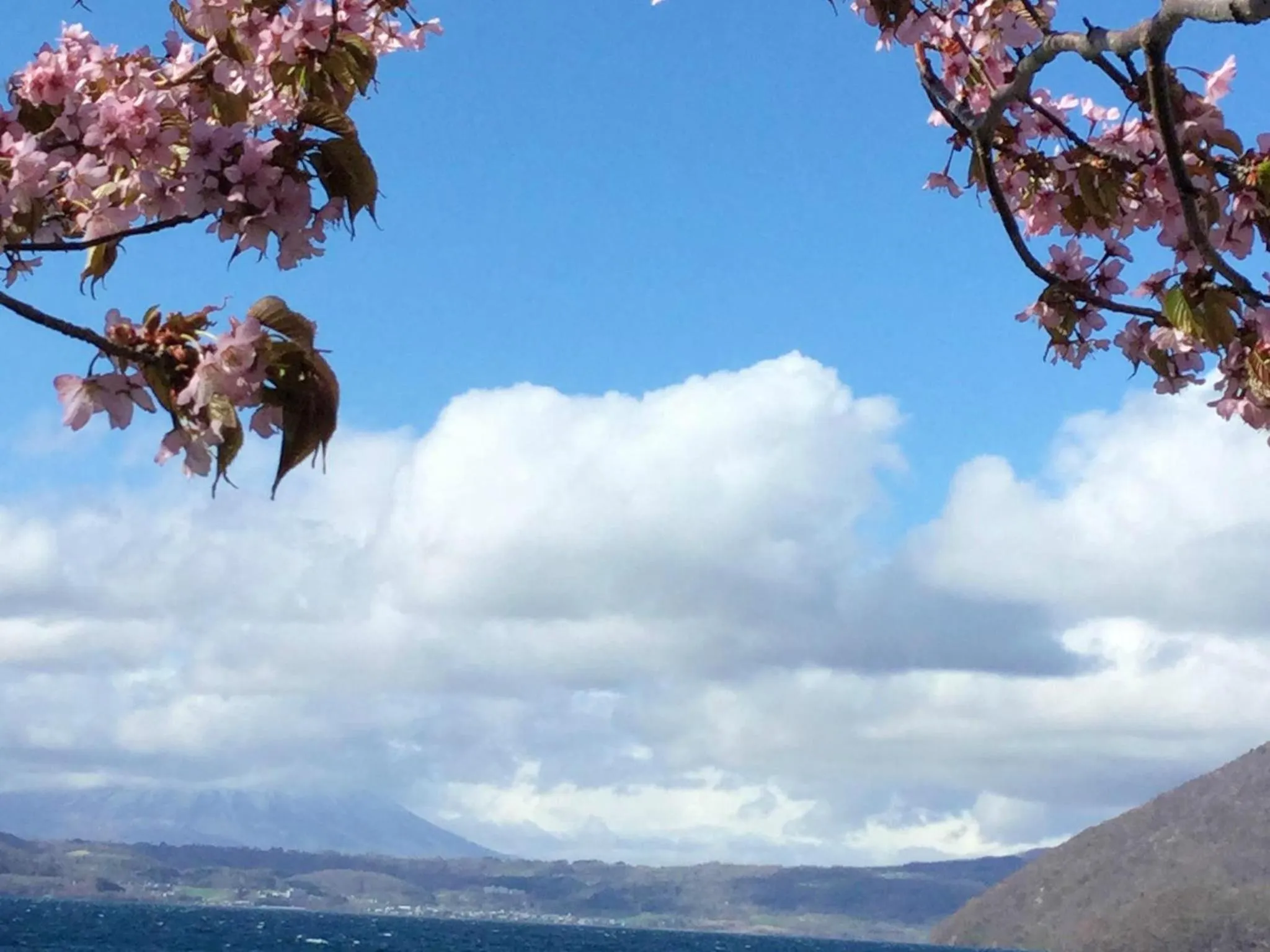 Nearby landmark in Toya Kohan Tei