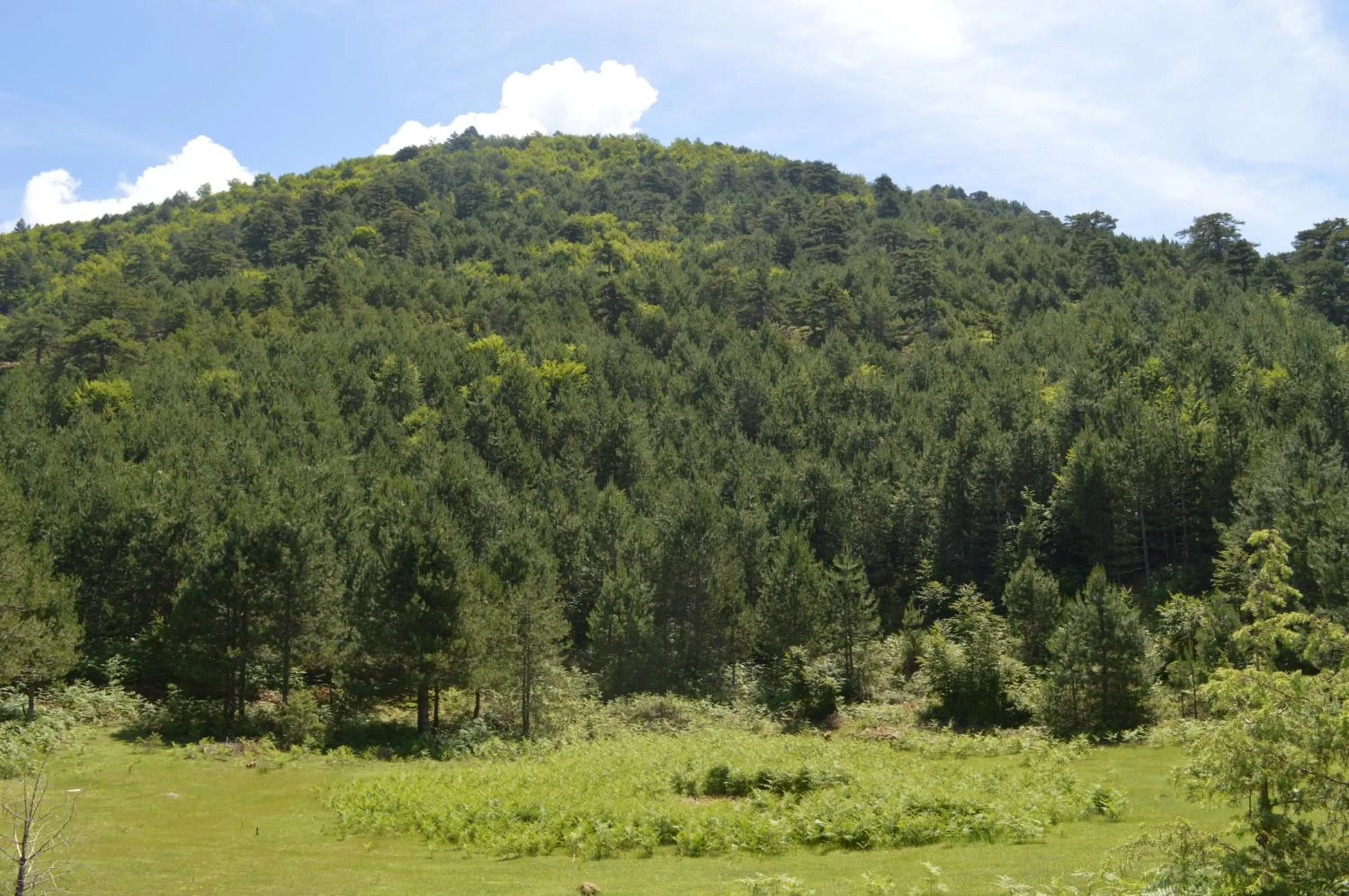 Nearby landmark in Sofra E Shpatit