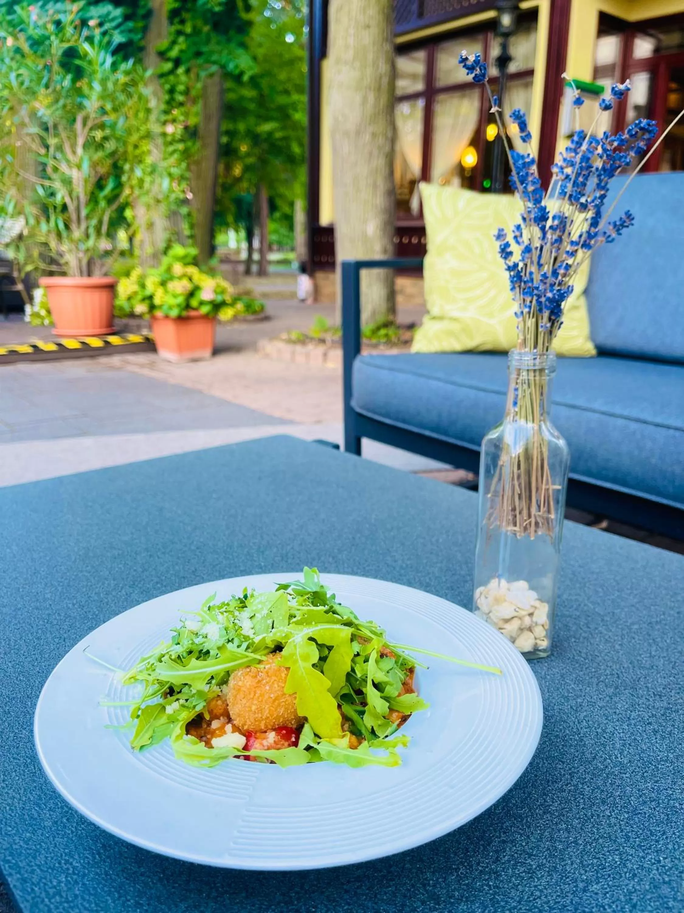 Garden in Villa Hotel