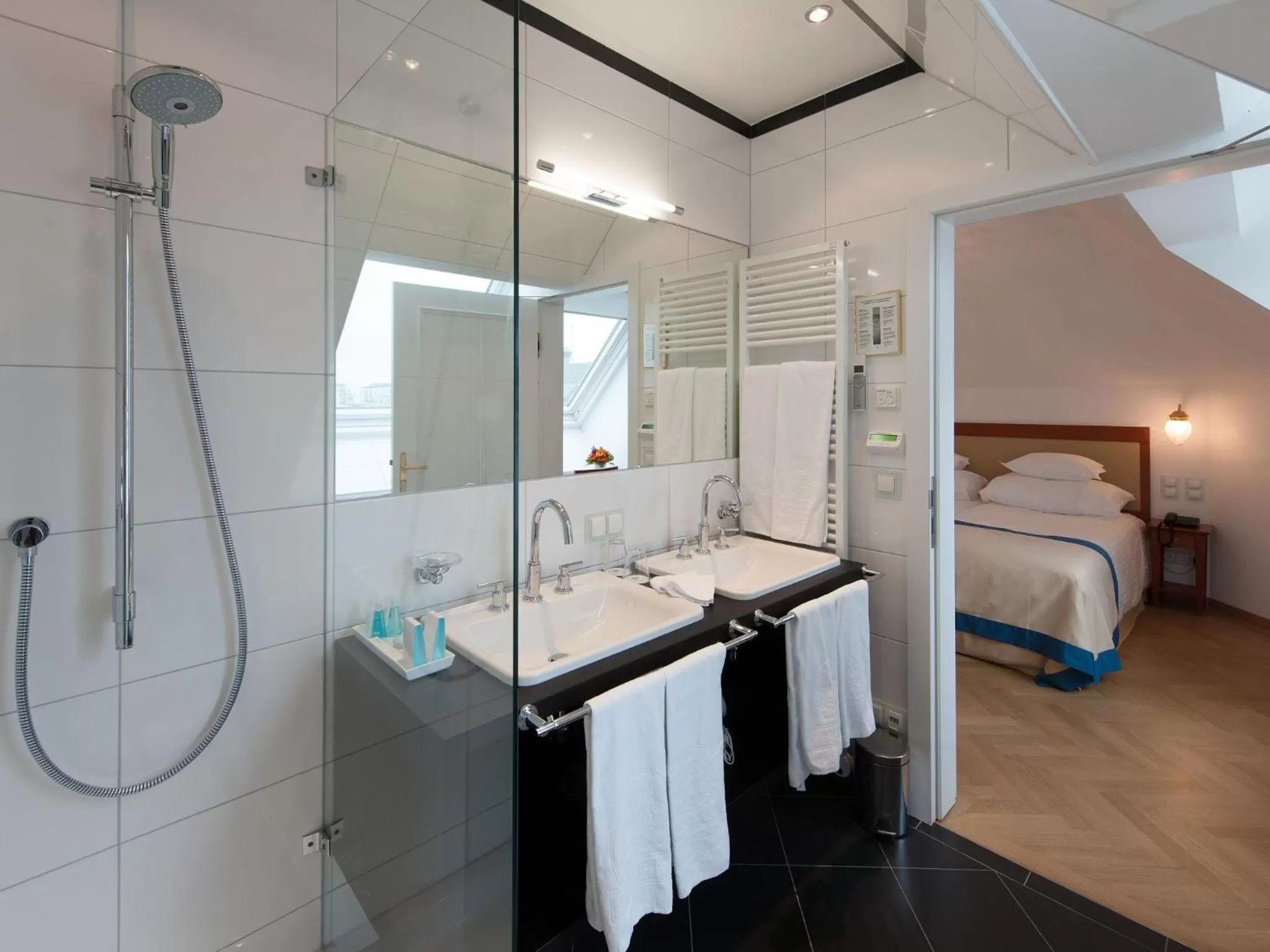 Bathroom, Bed in Hotel Ambassador