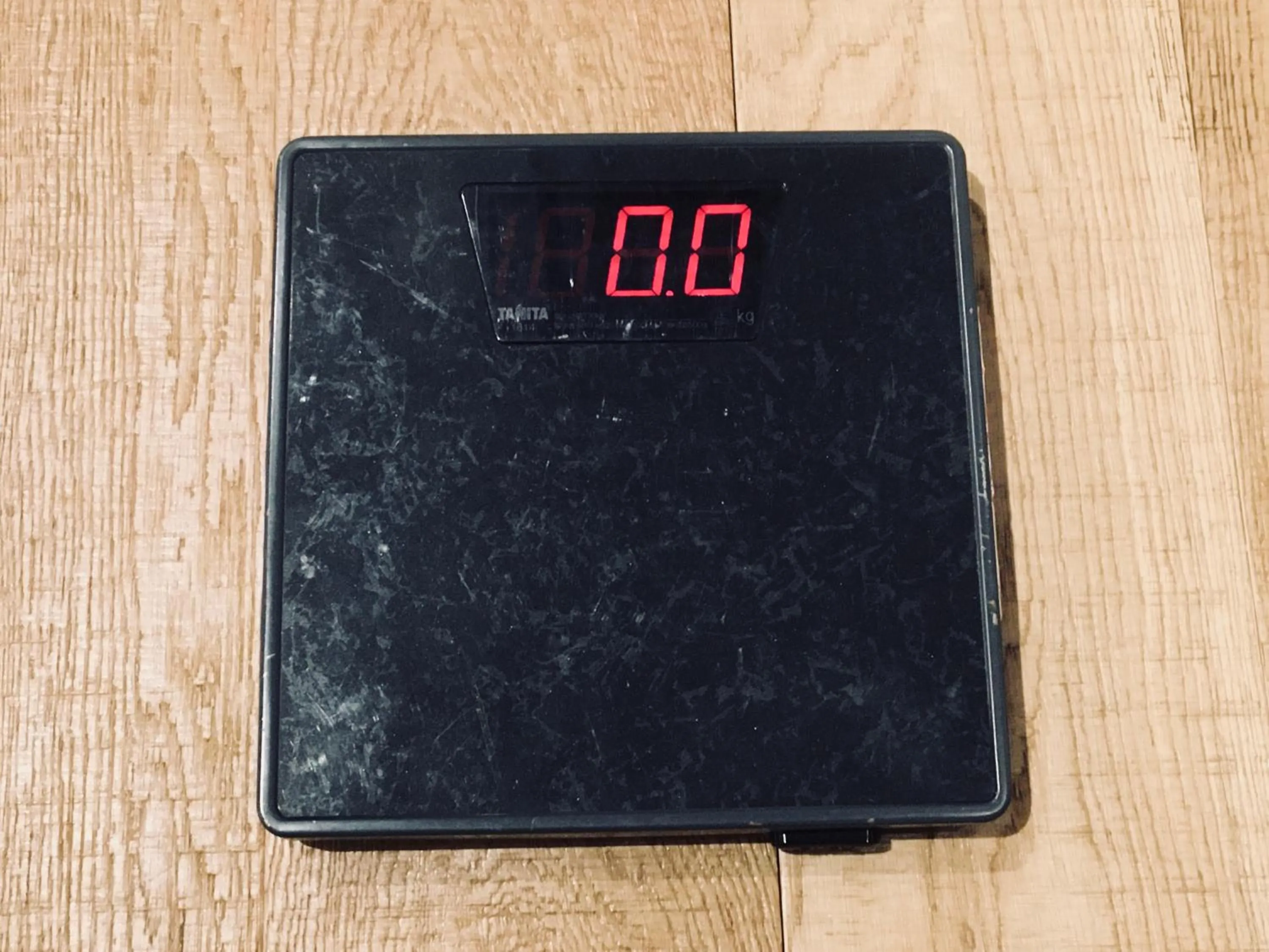 Area and facilities in Kangaroo Hotel Side B