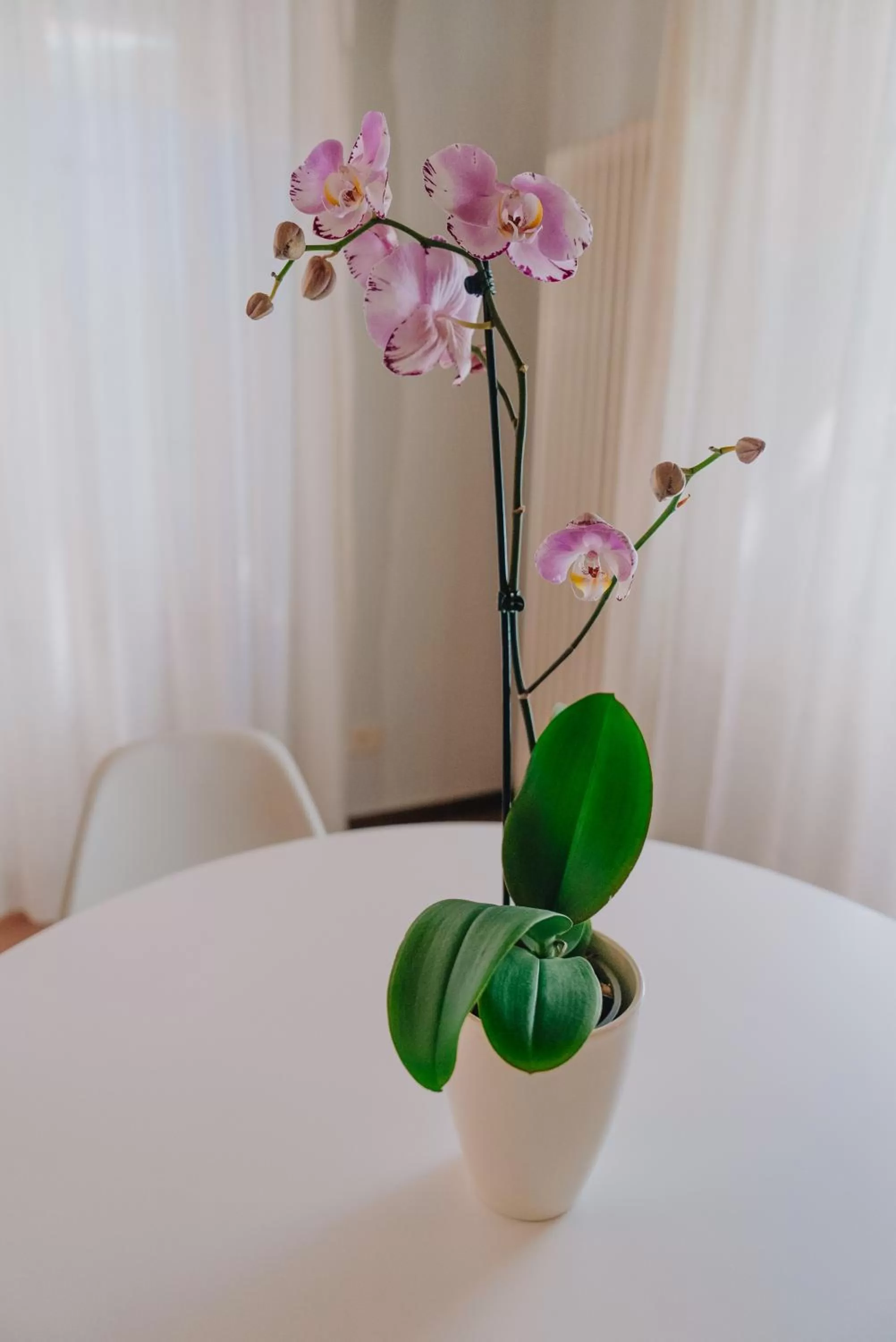 Decorative detail in Locanda Del Feudo Suite & Restaurant